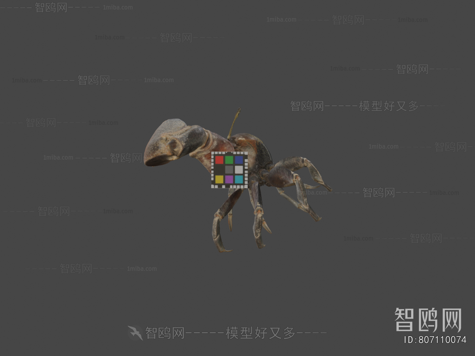 Modern Animal