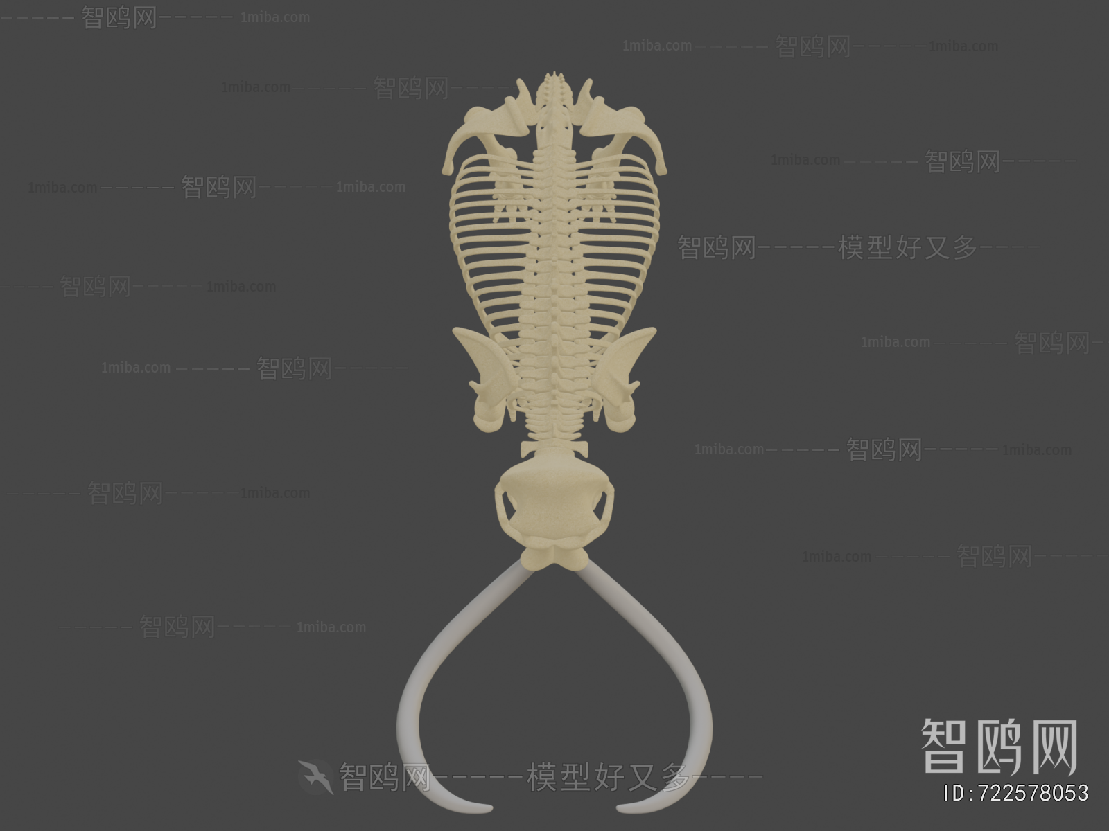 Modern Medical Equipment