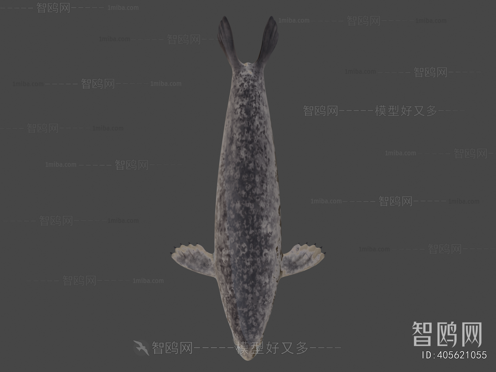 Modern Mammal