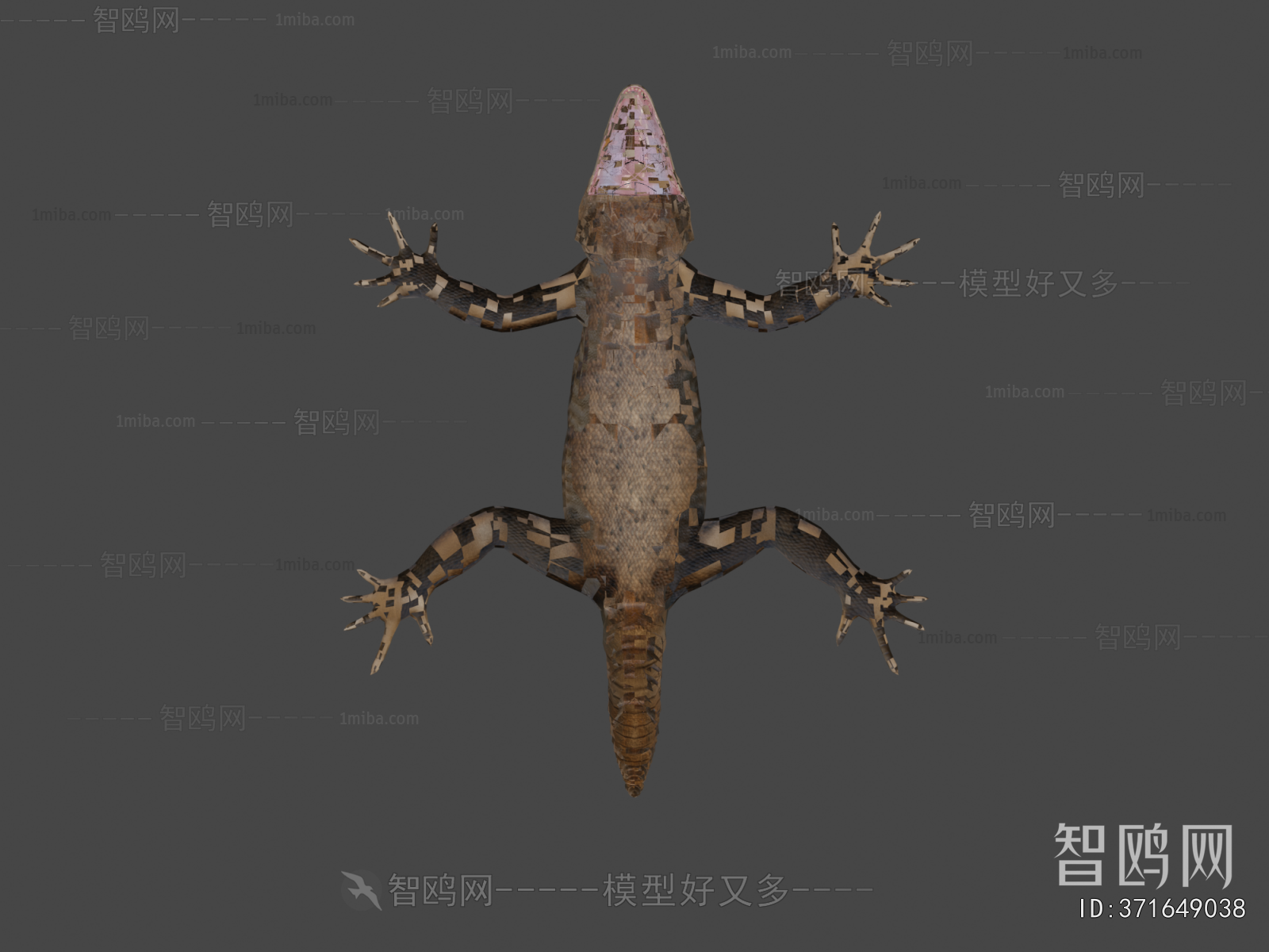Modern Animal