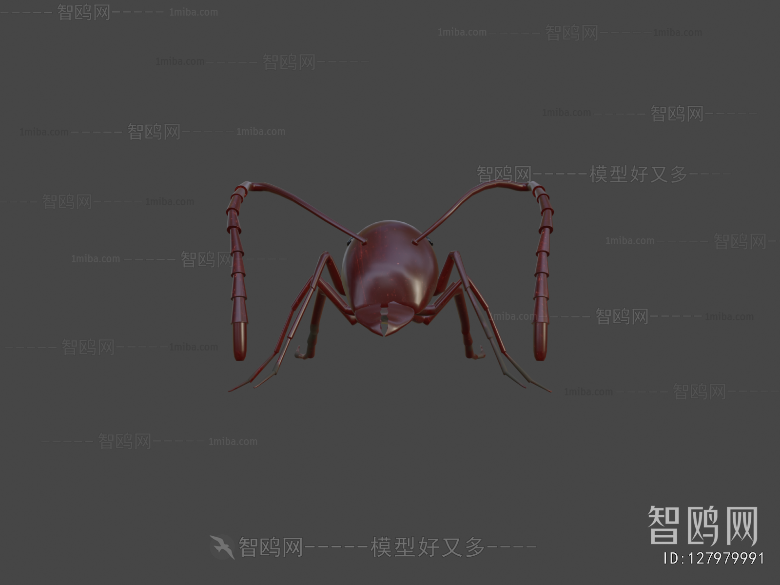 Modern Animal