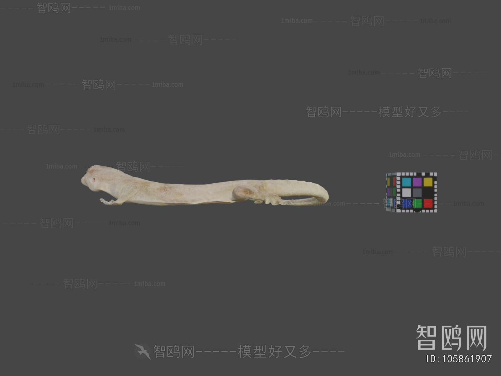 Modern Animal