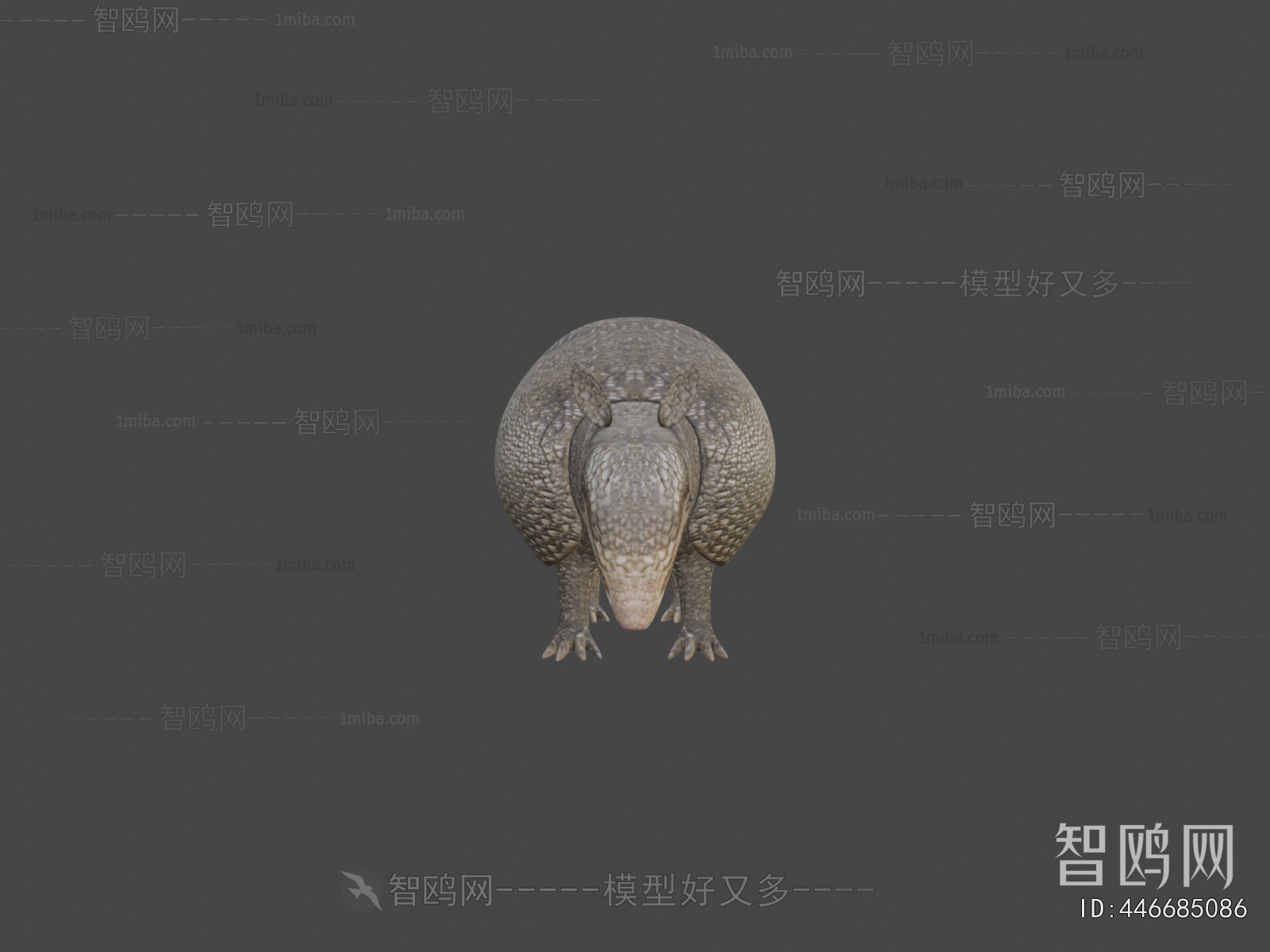 Modern Reptile