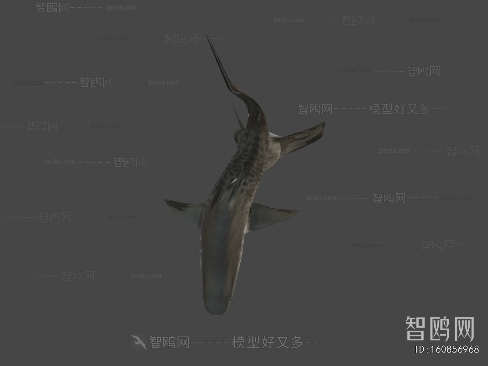 Modern Aquatic Product