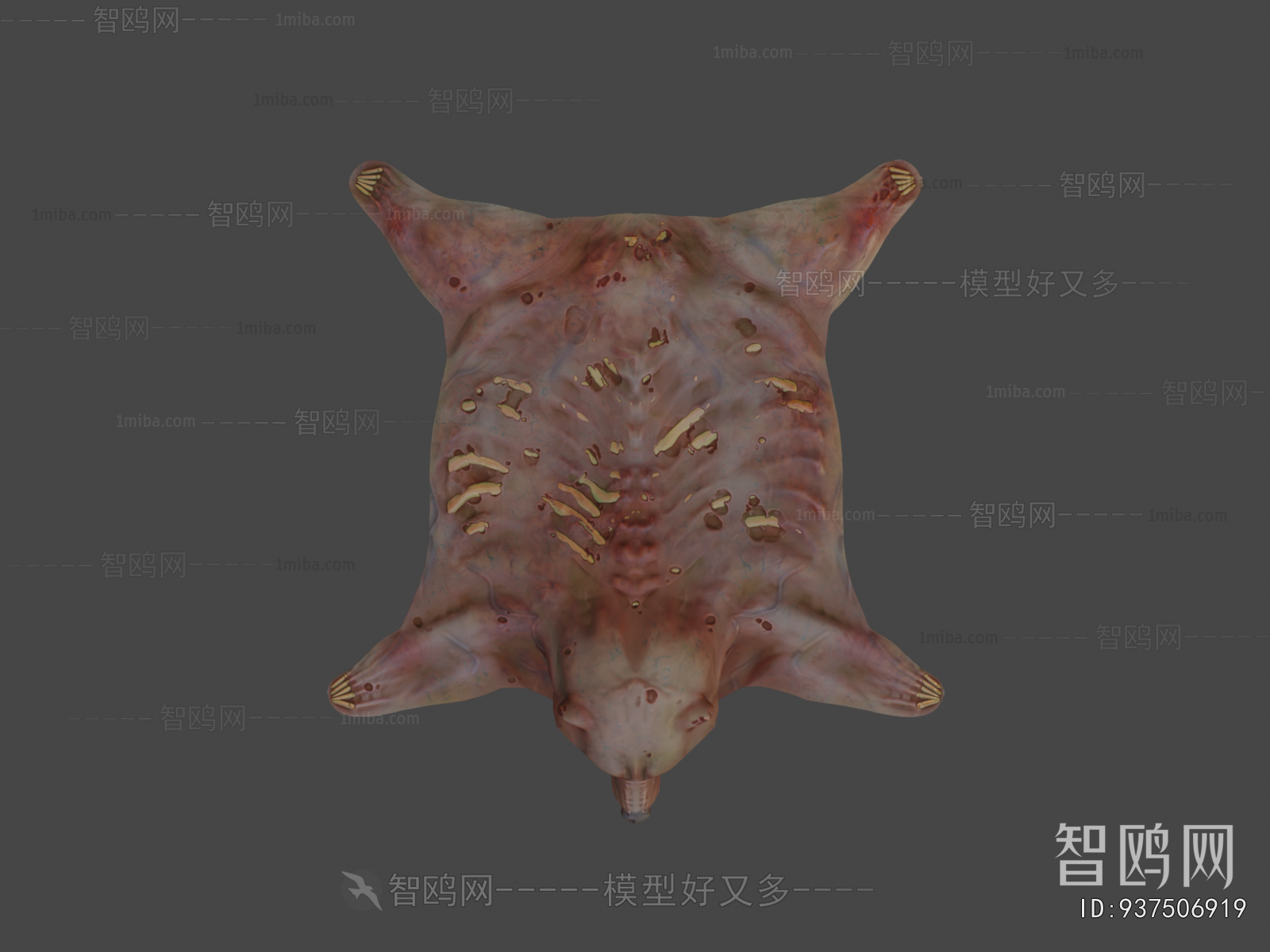 Modern Animal