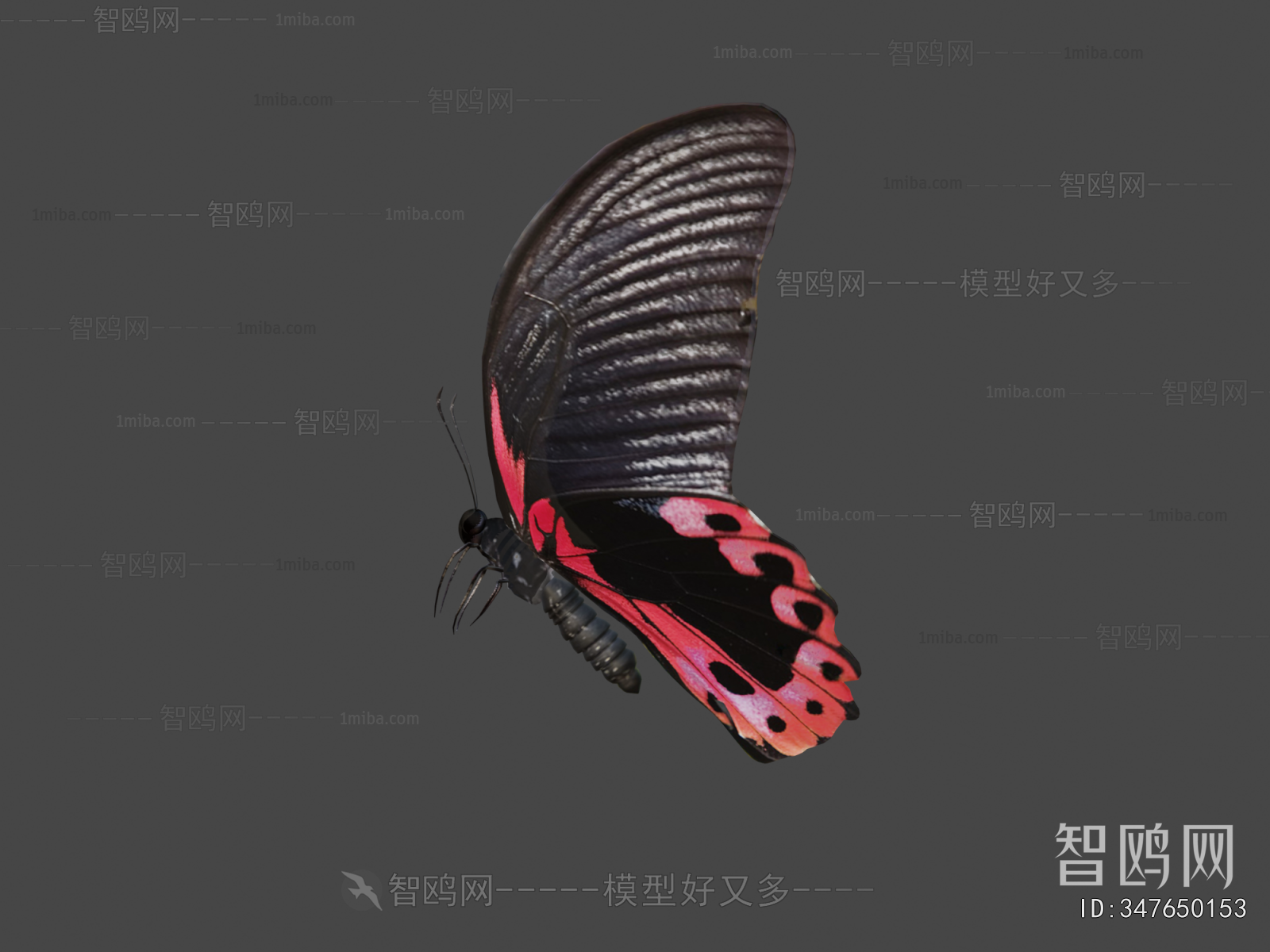 Modern Animal