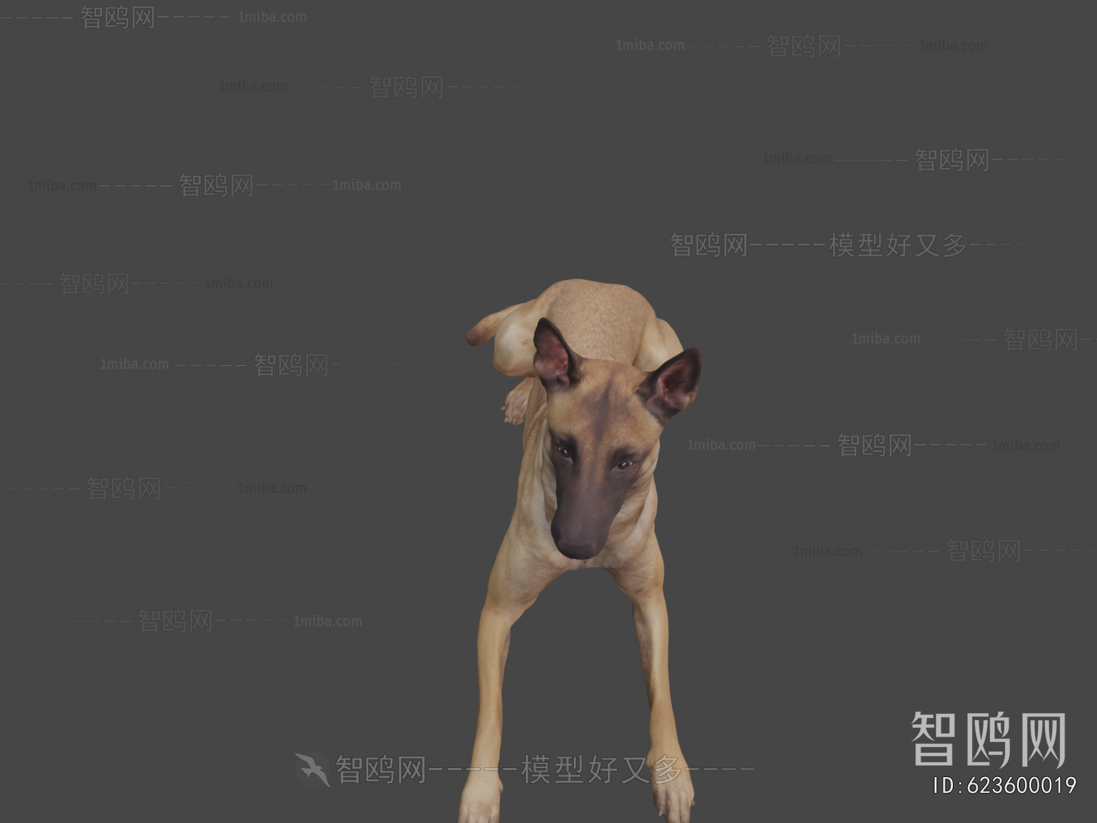 Modern Animal