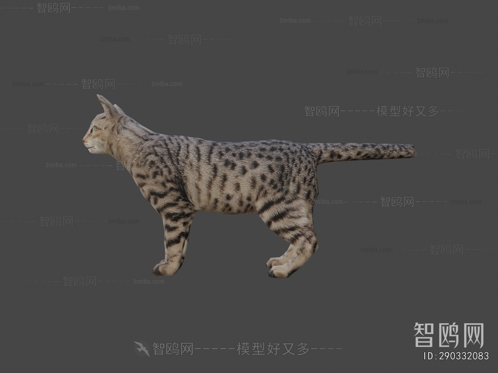 Modern Animal Cat