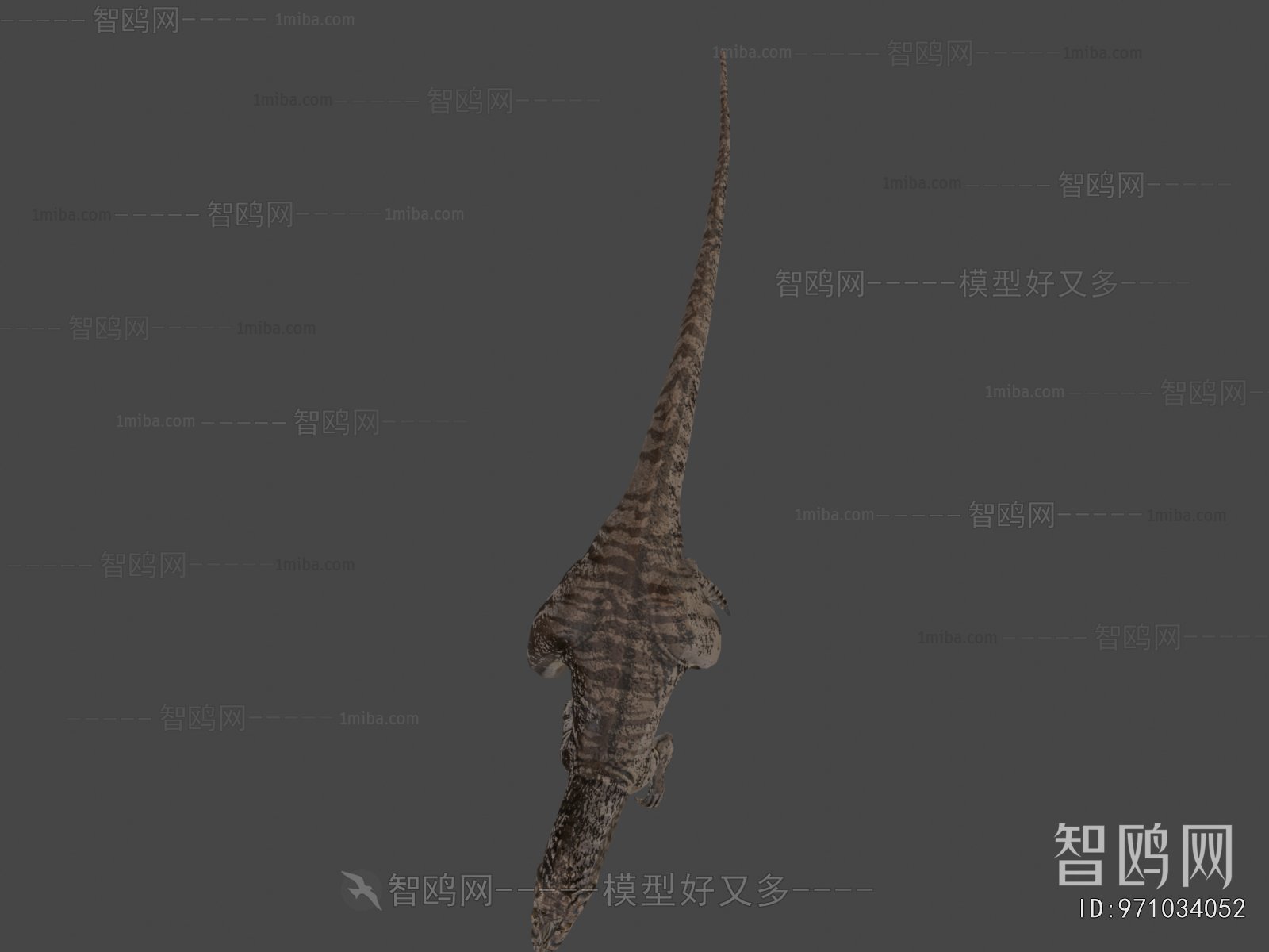 Modern Animal