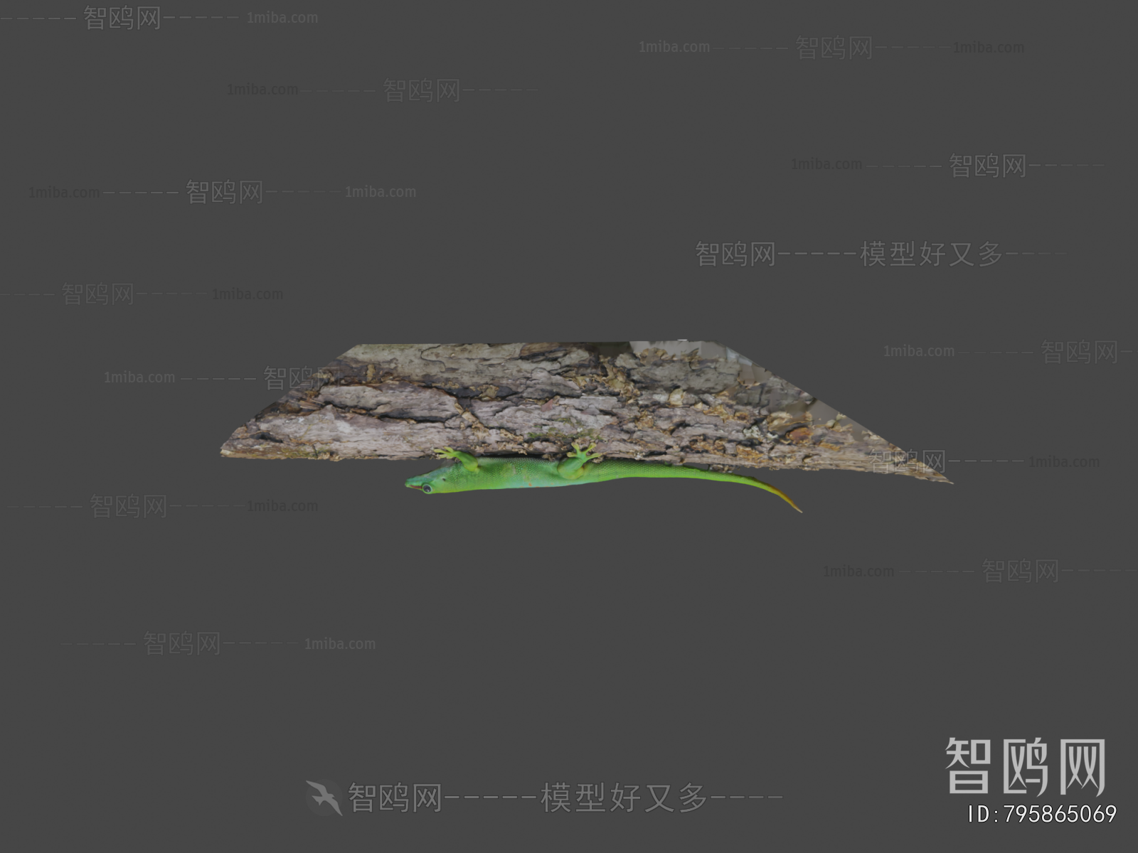 Modern Reptile