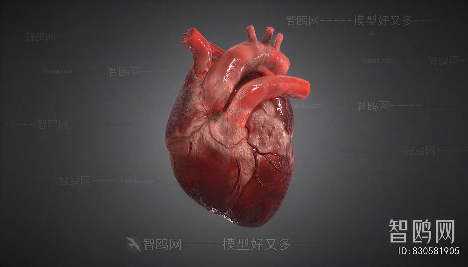 Modern Medical Equipment