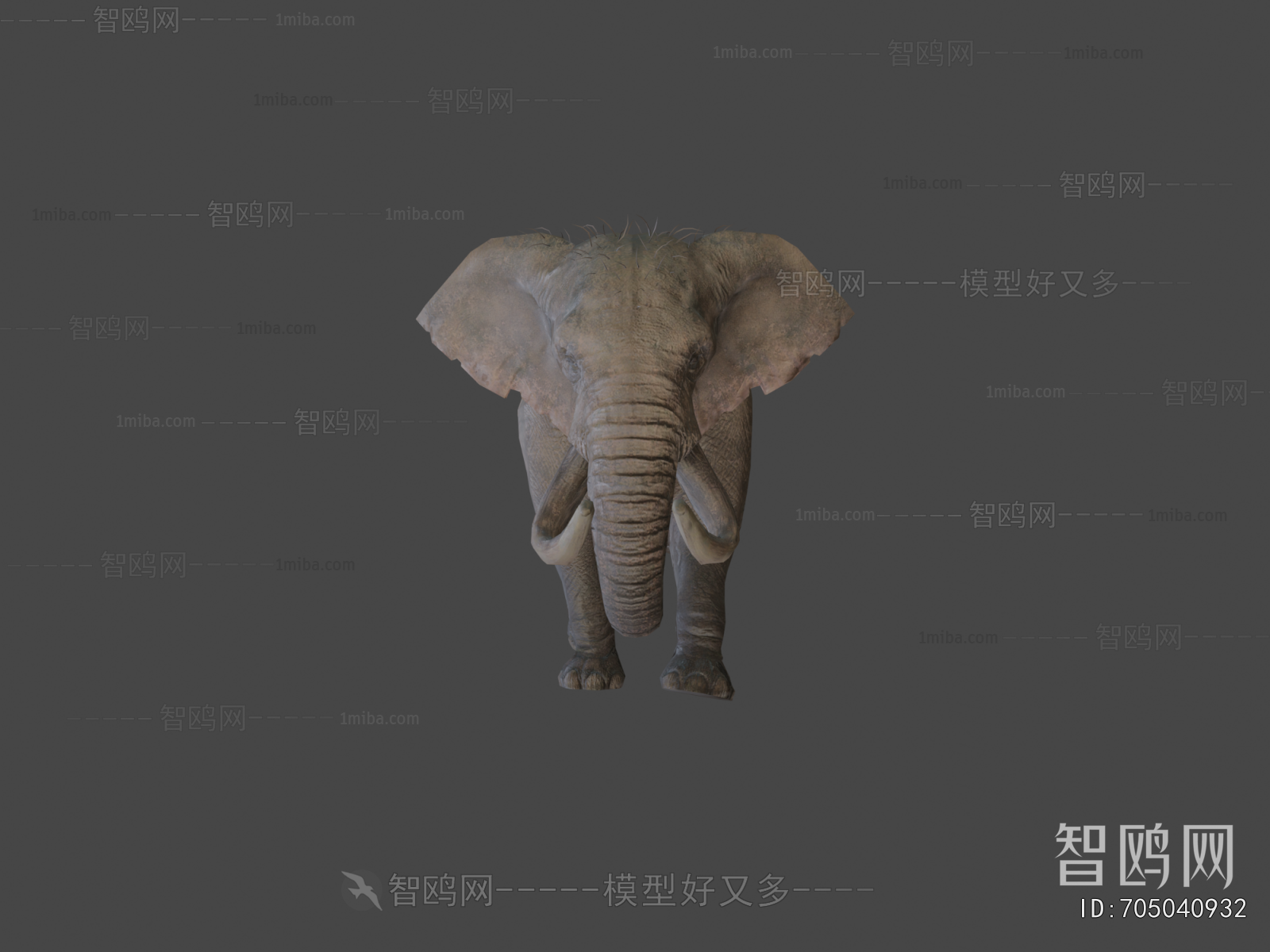 Modern Animal