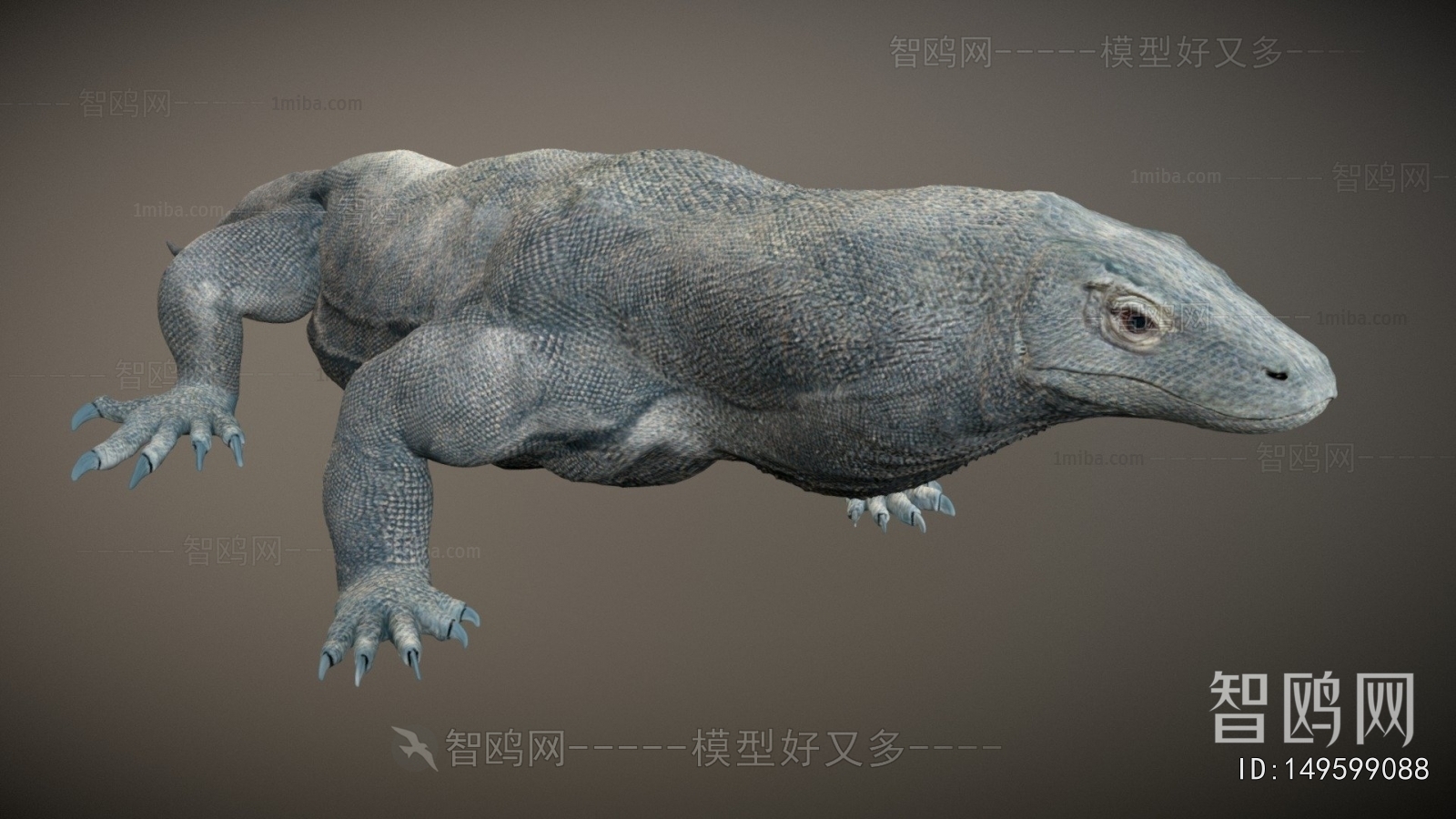 Modern Reptile