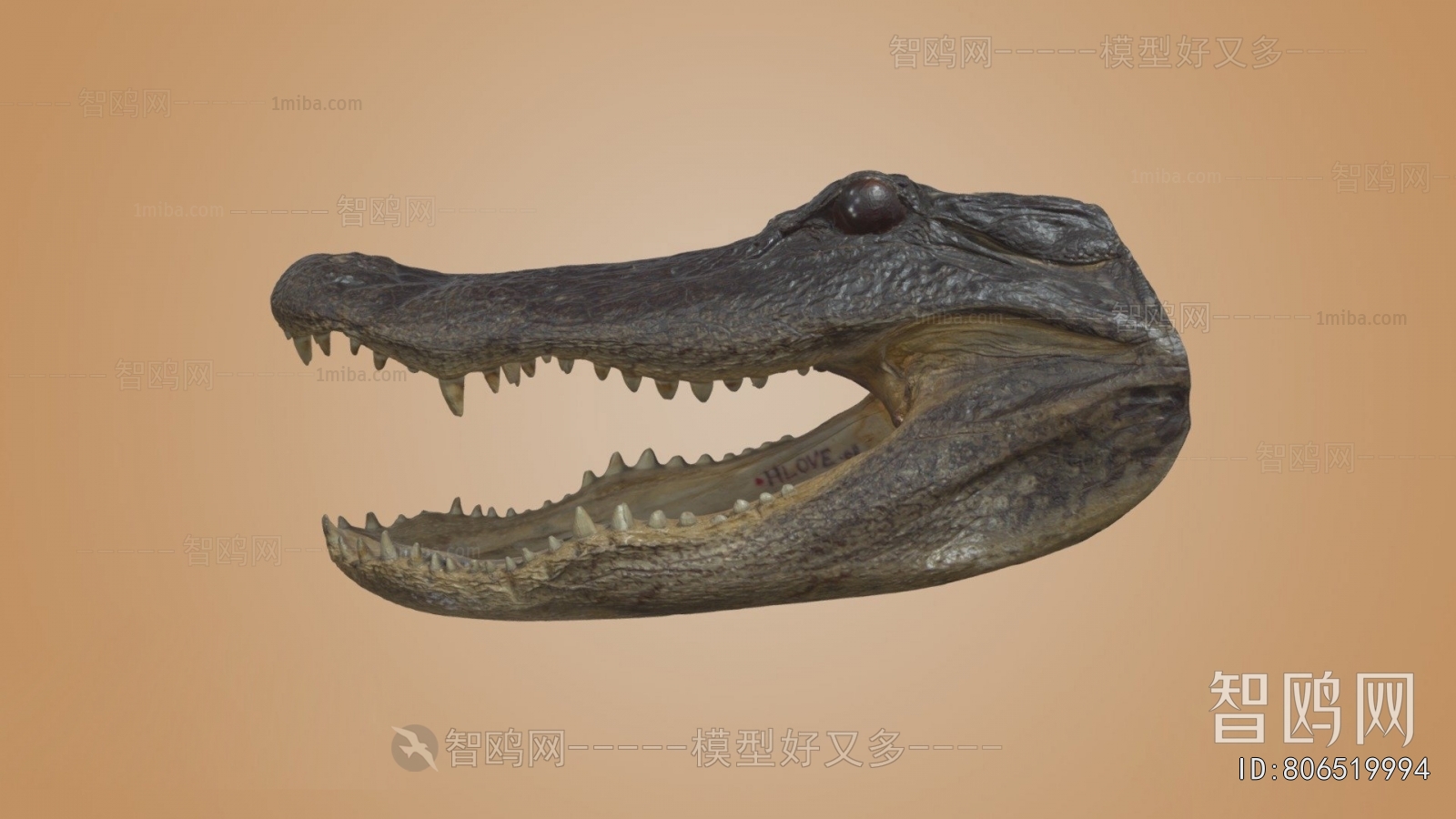 Modern Reptile