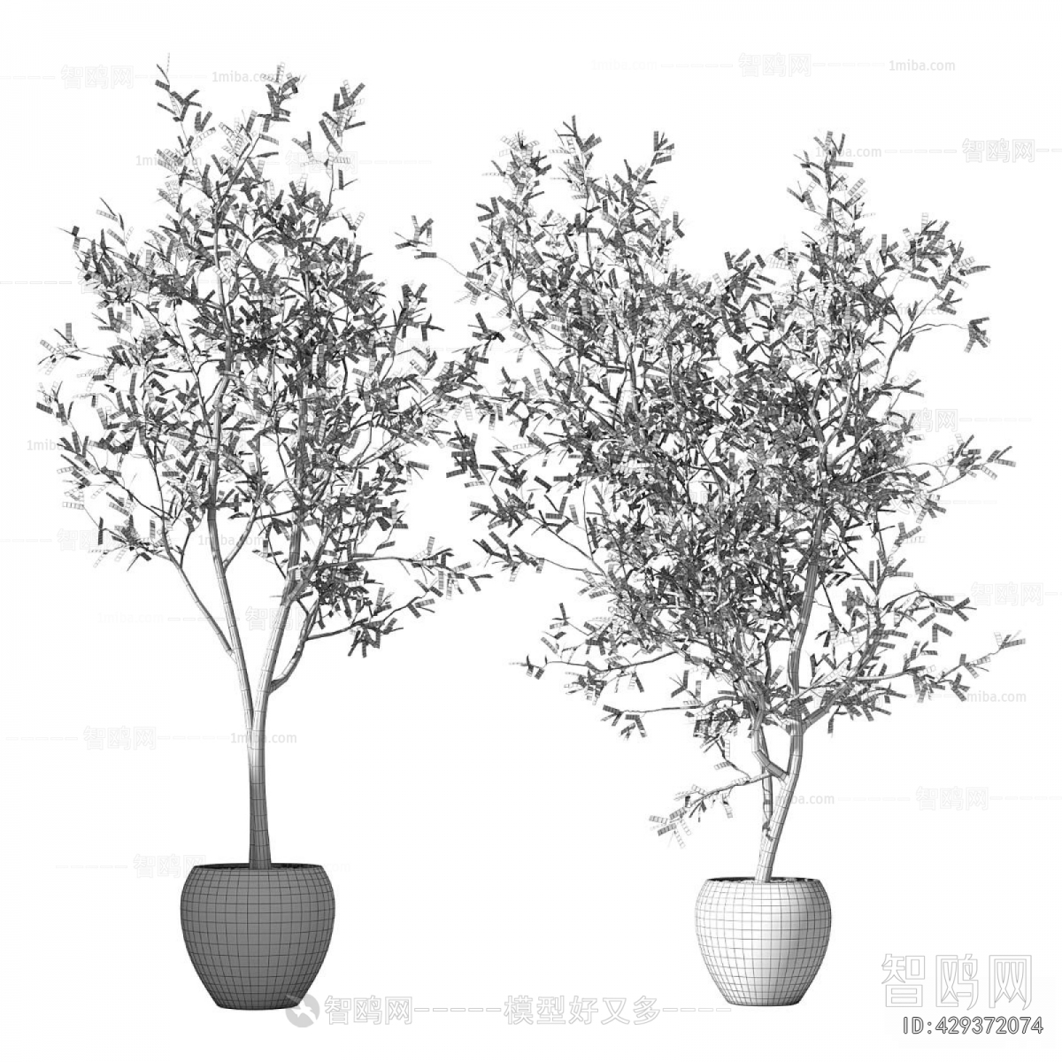 Modern Ground Green Plant Potted Plants