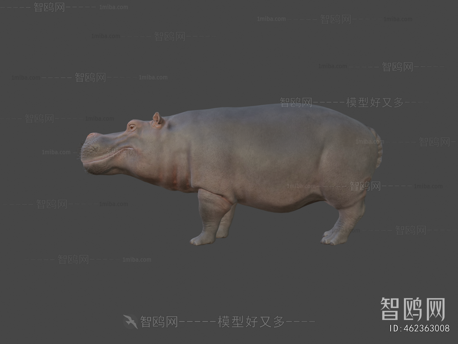 Modern Animal