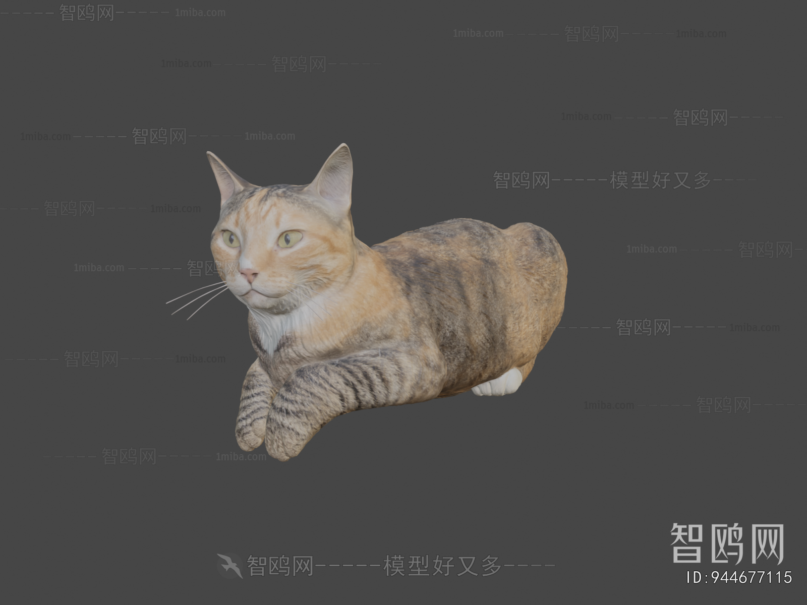 Modern Animal Cat