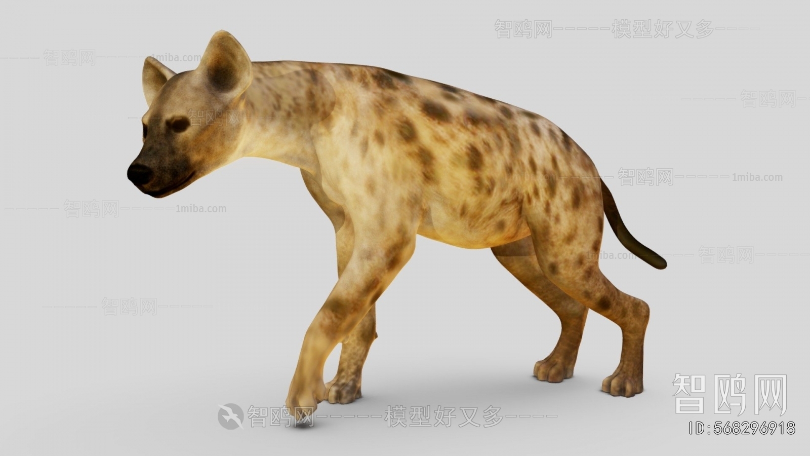 Modern Mammal