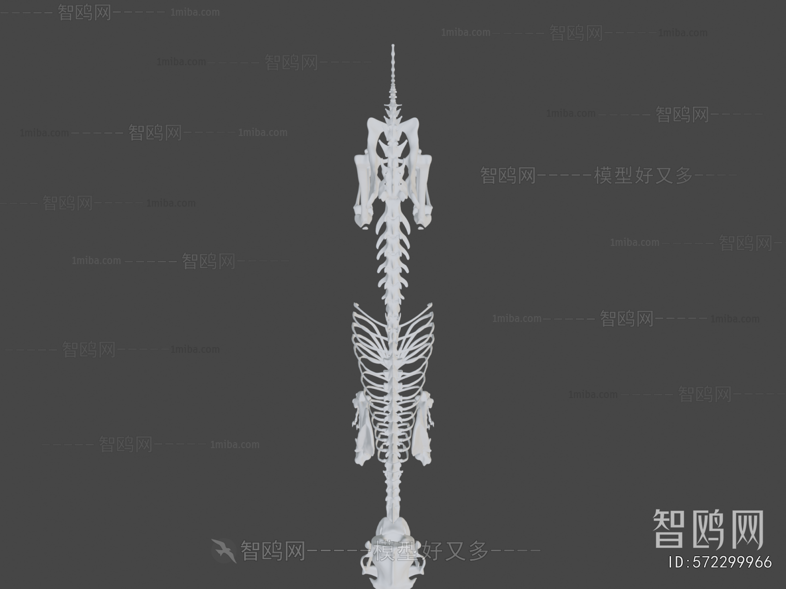 Modern Medical Equipment