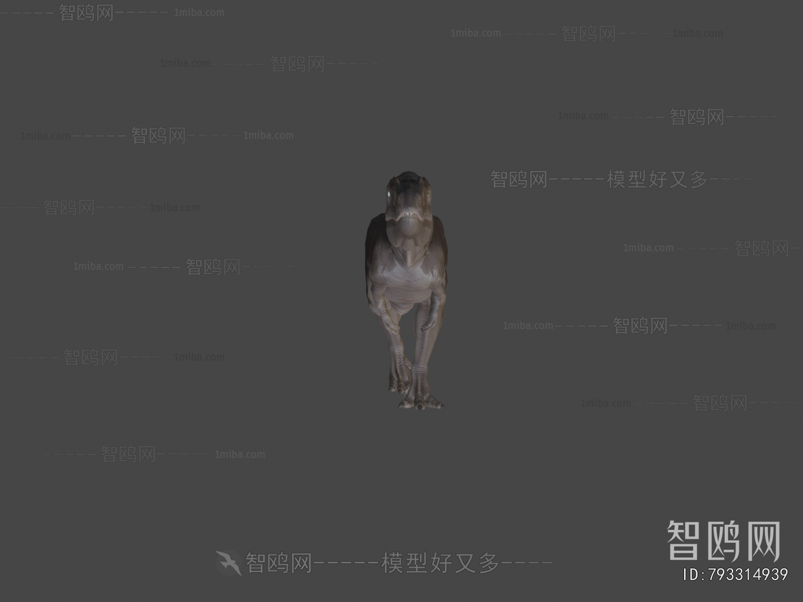 Modern Animal