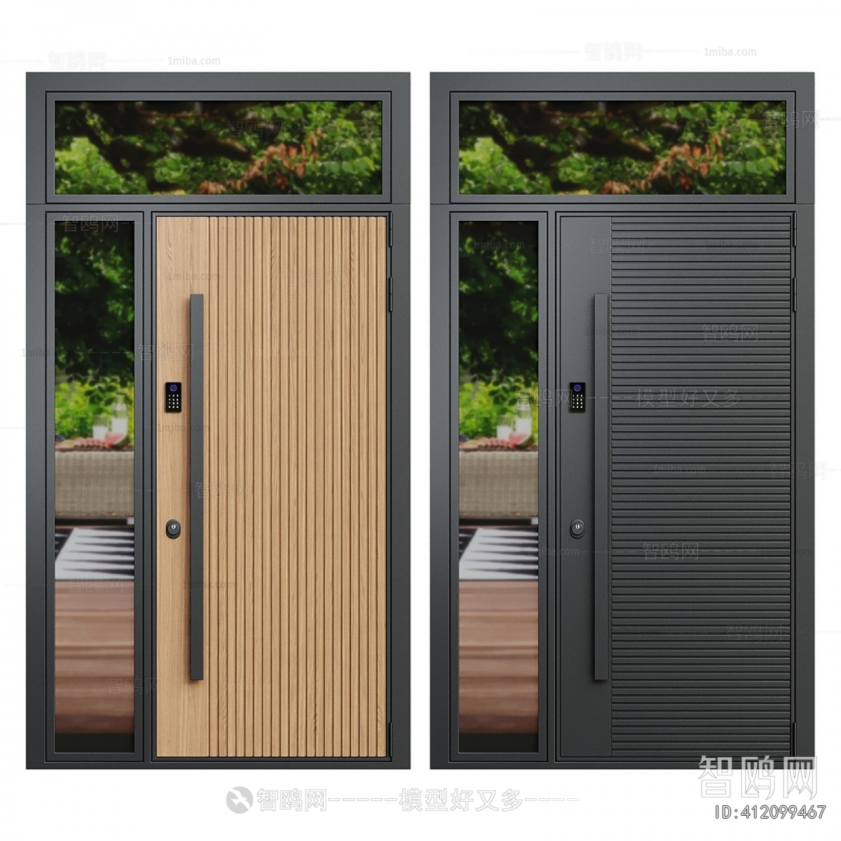 Modern Entrance Door