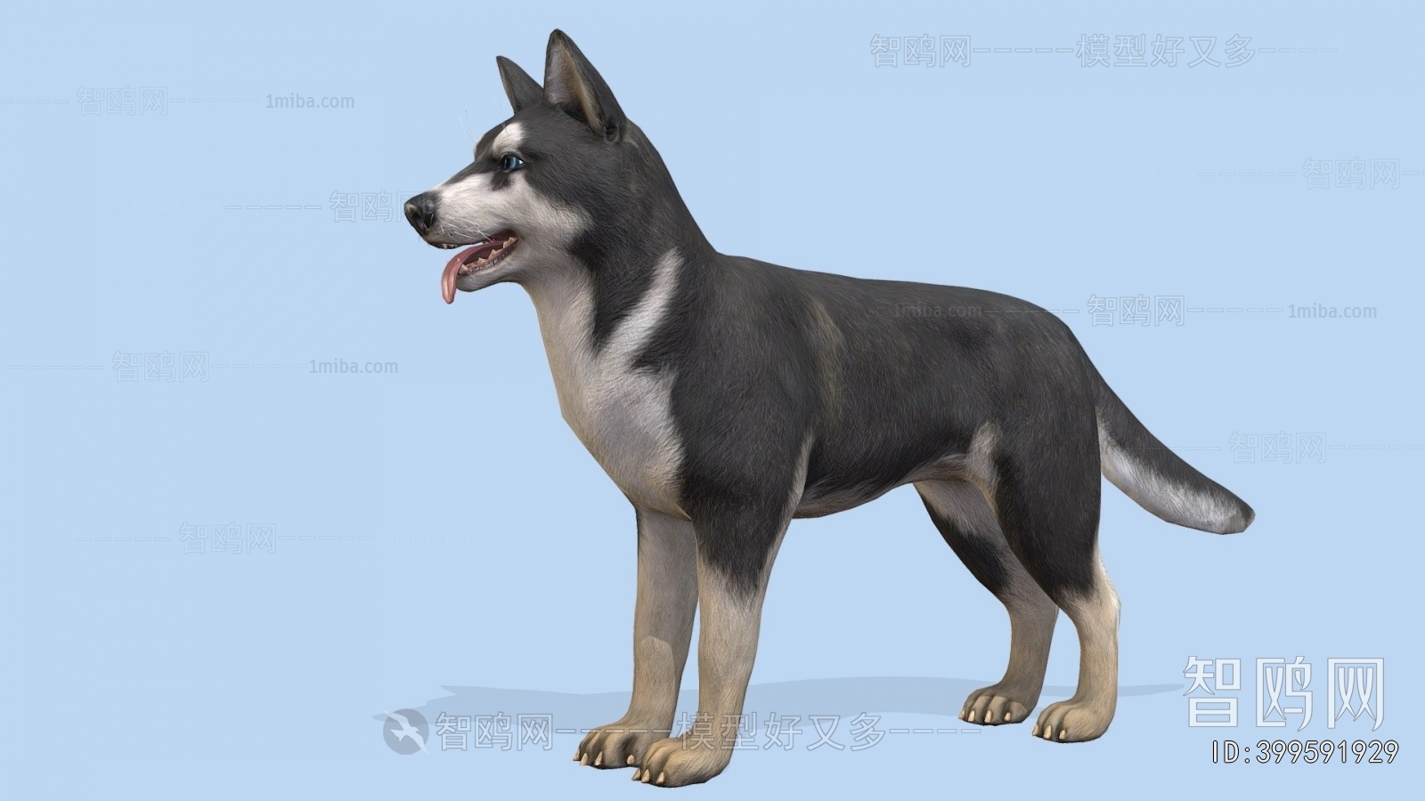Modern Animal Dog