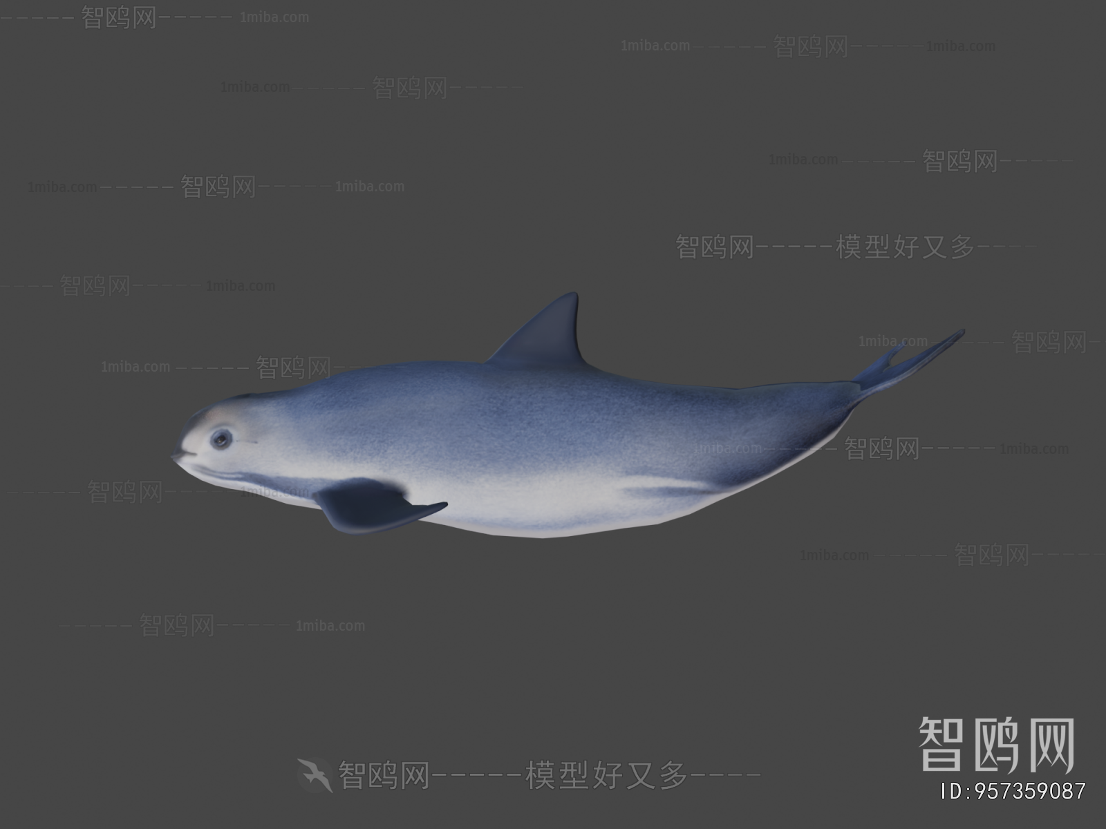 Modern Animal