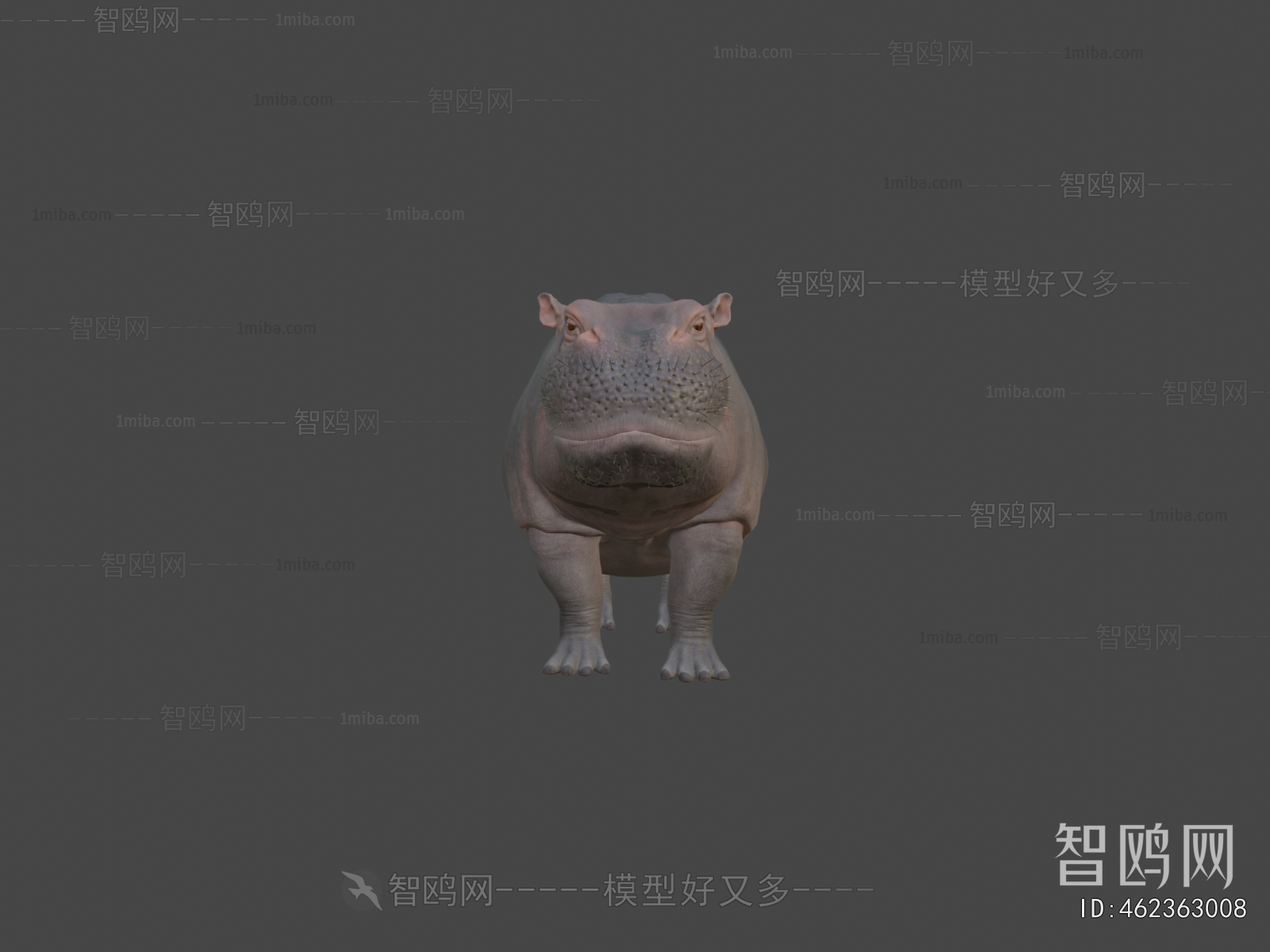 Modern Animal