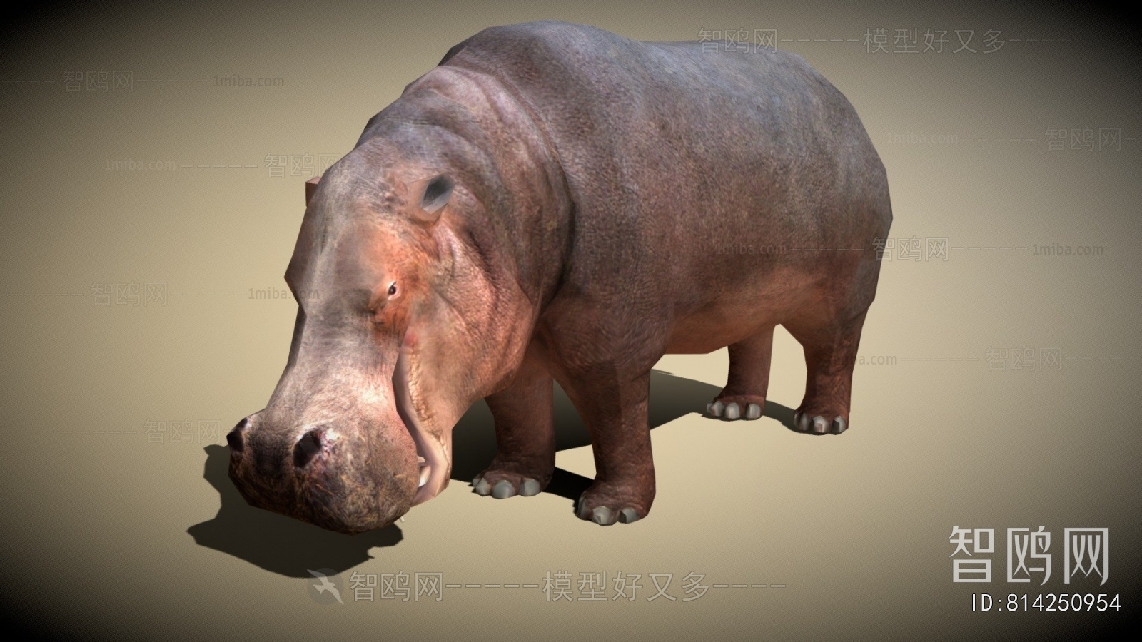 Modern Animal