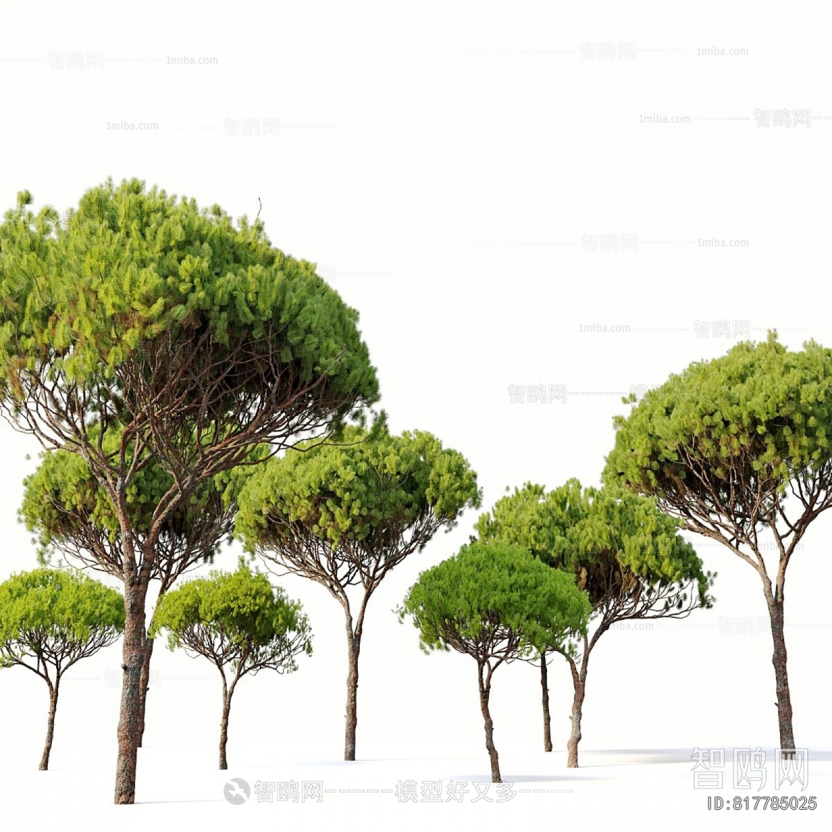 Modern Tree