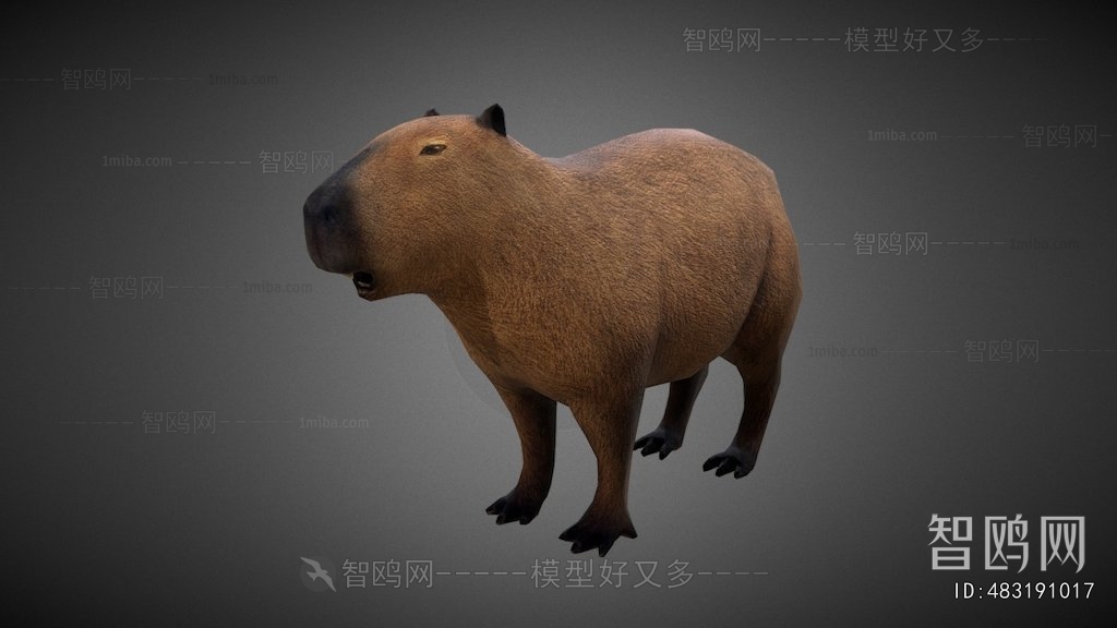 Modern Mammal