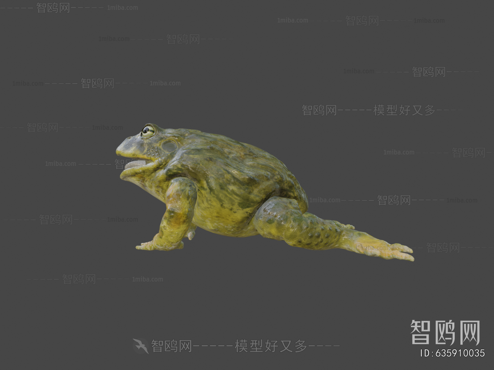 Modern Reptile