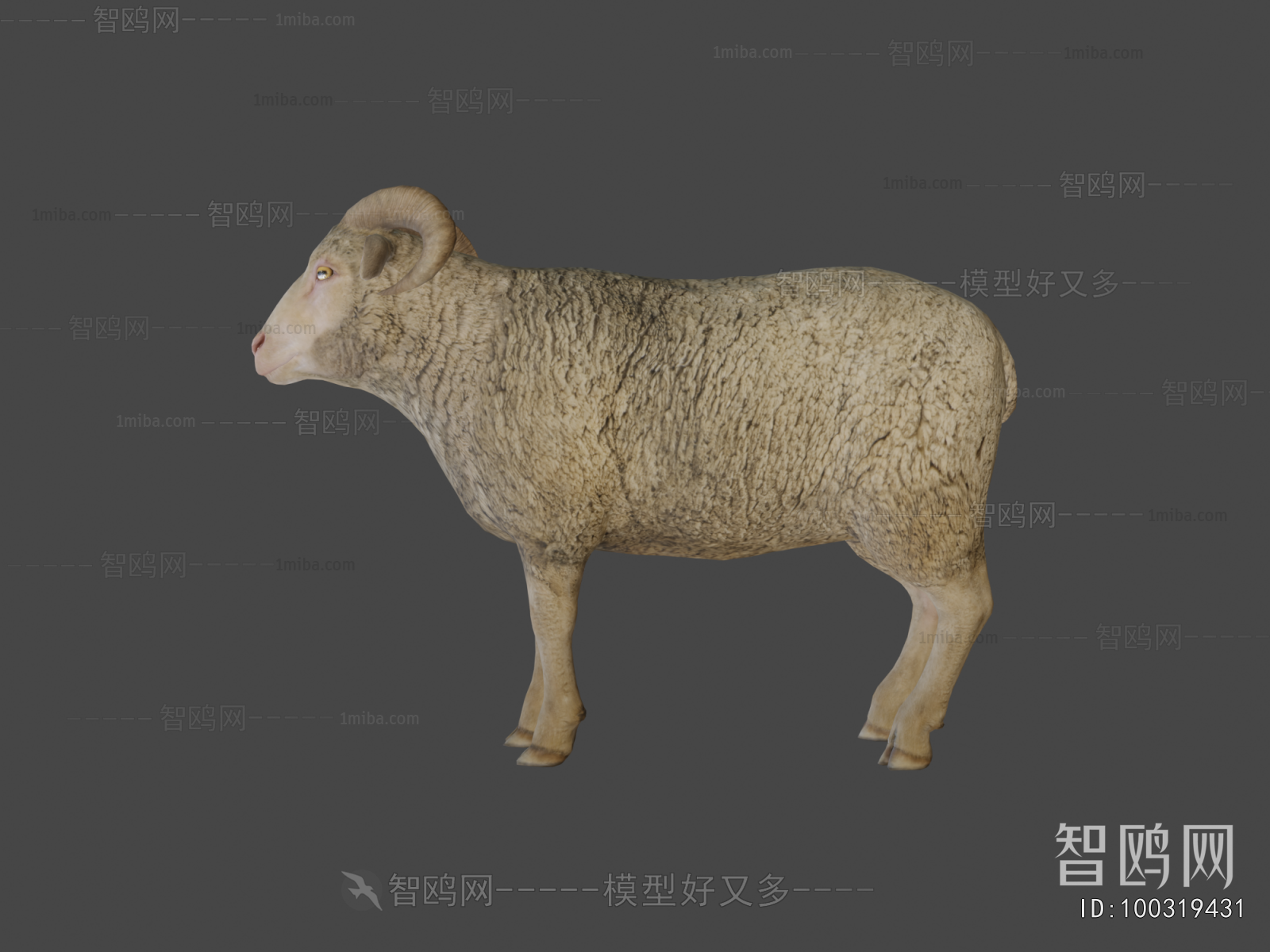 Modern Animal