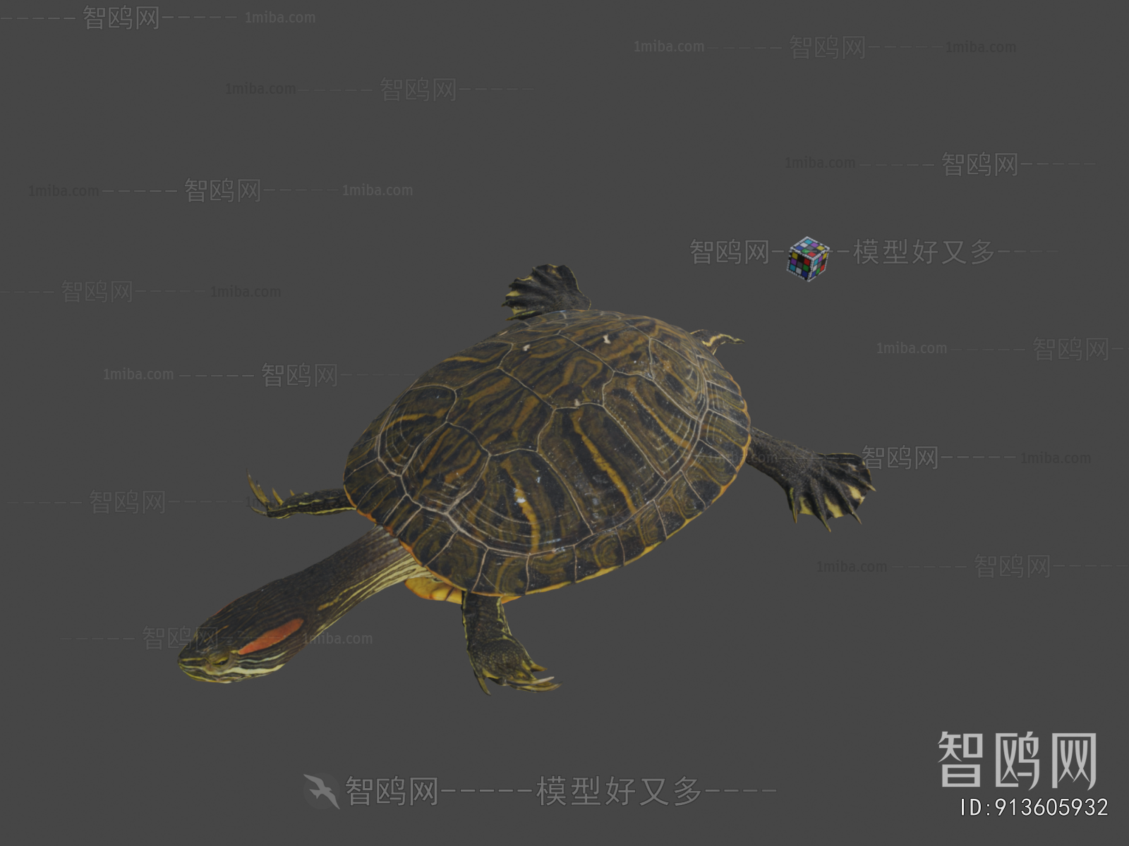 Modern Reptile