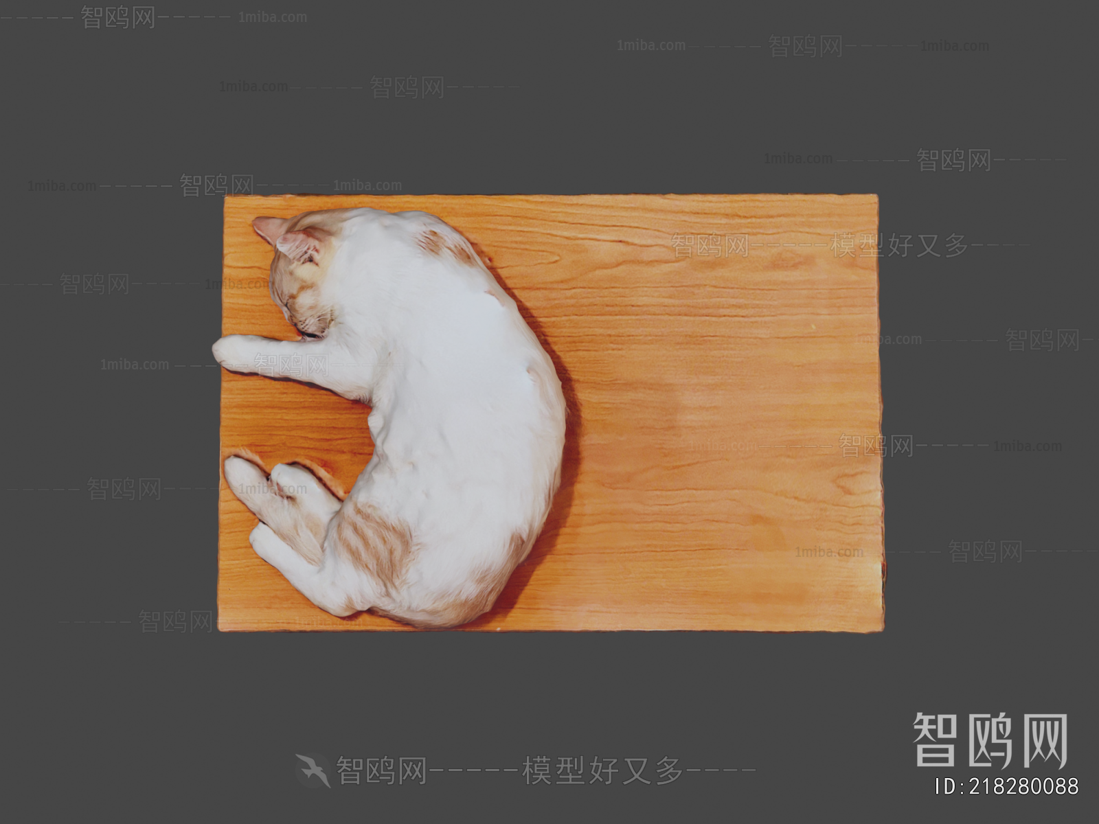 Modern Animal