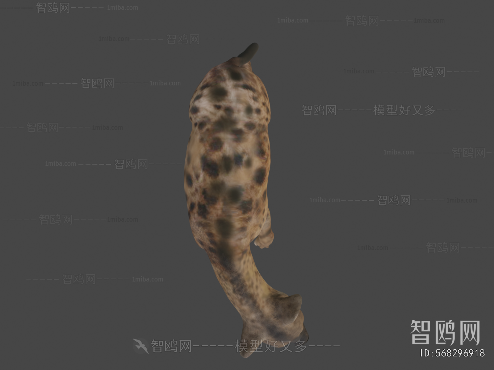 Modern Mammal