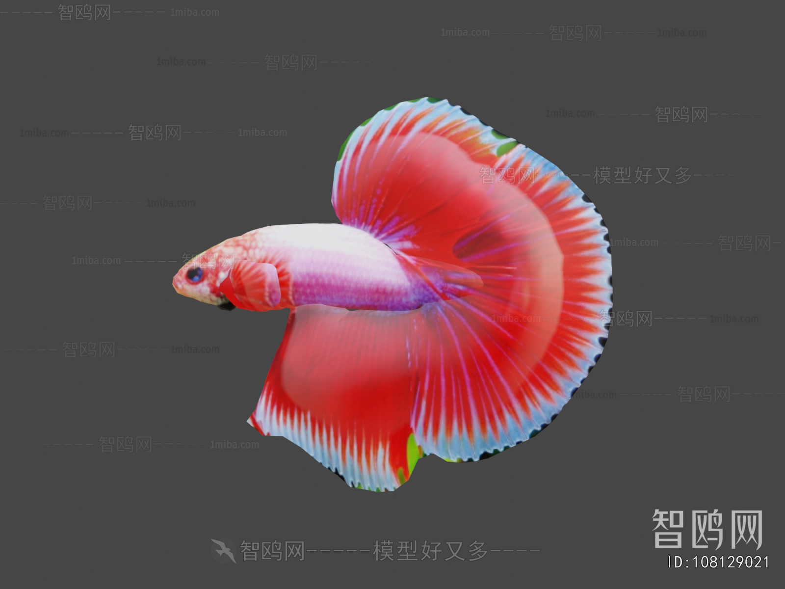 Modern Animal