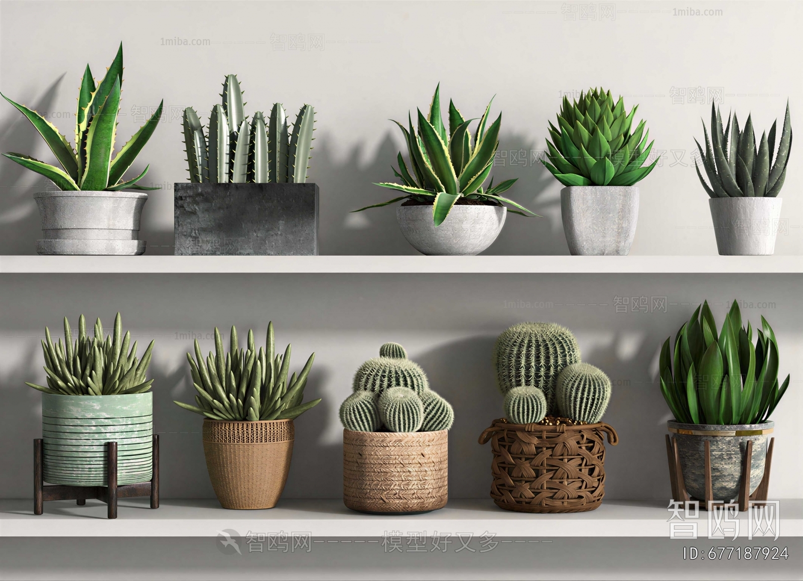 Modern Potted Green Plant