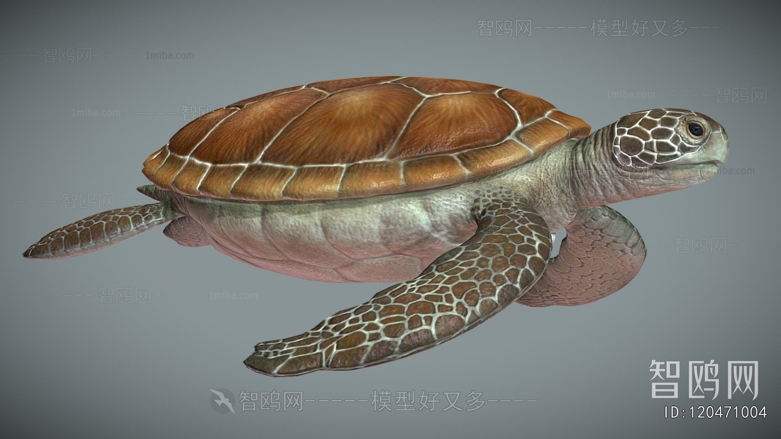 Modern Animal
