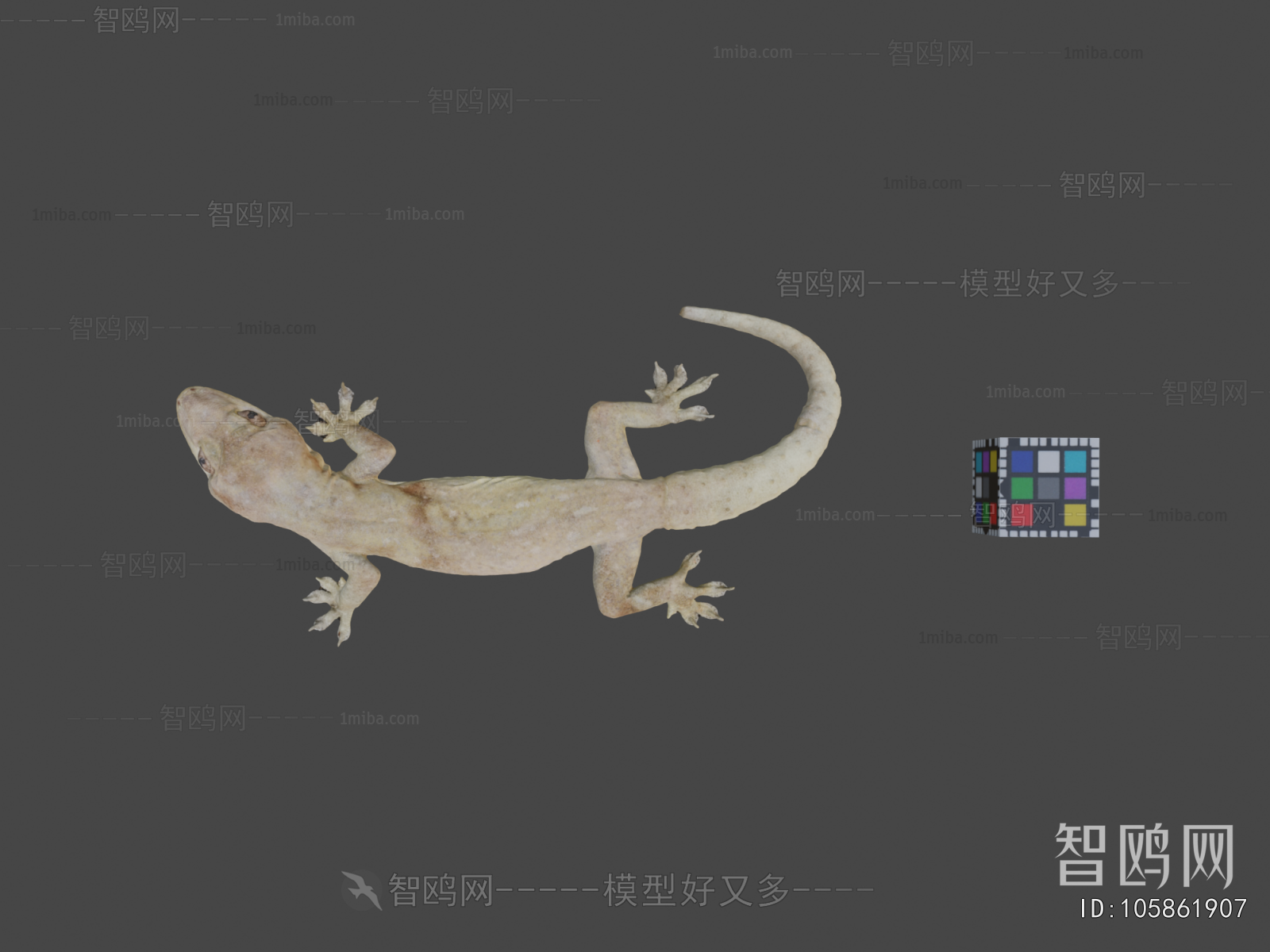 Modern Animal