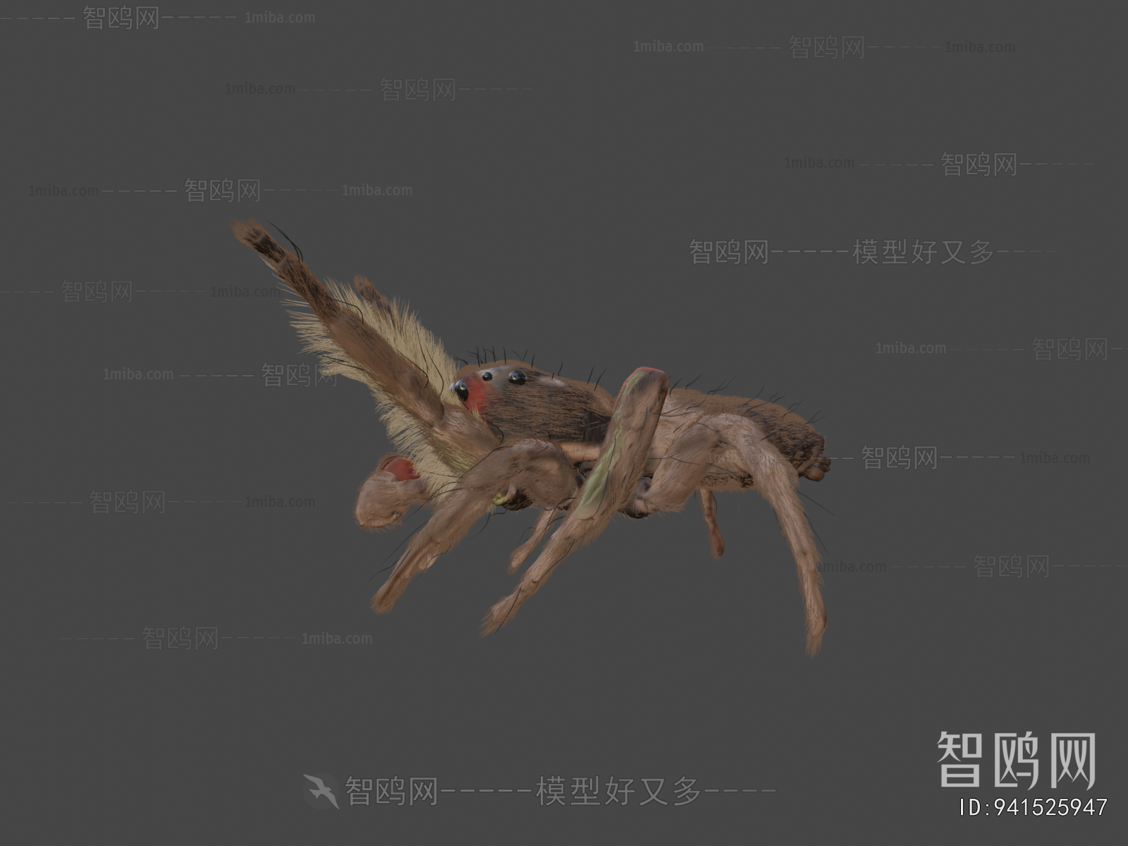 Modern Animal