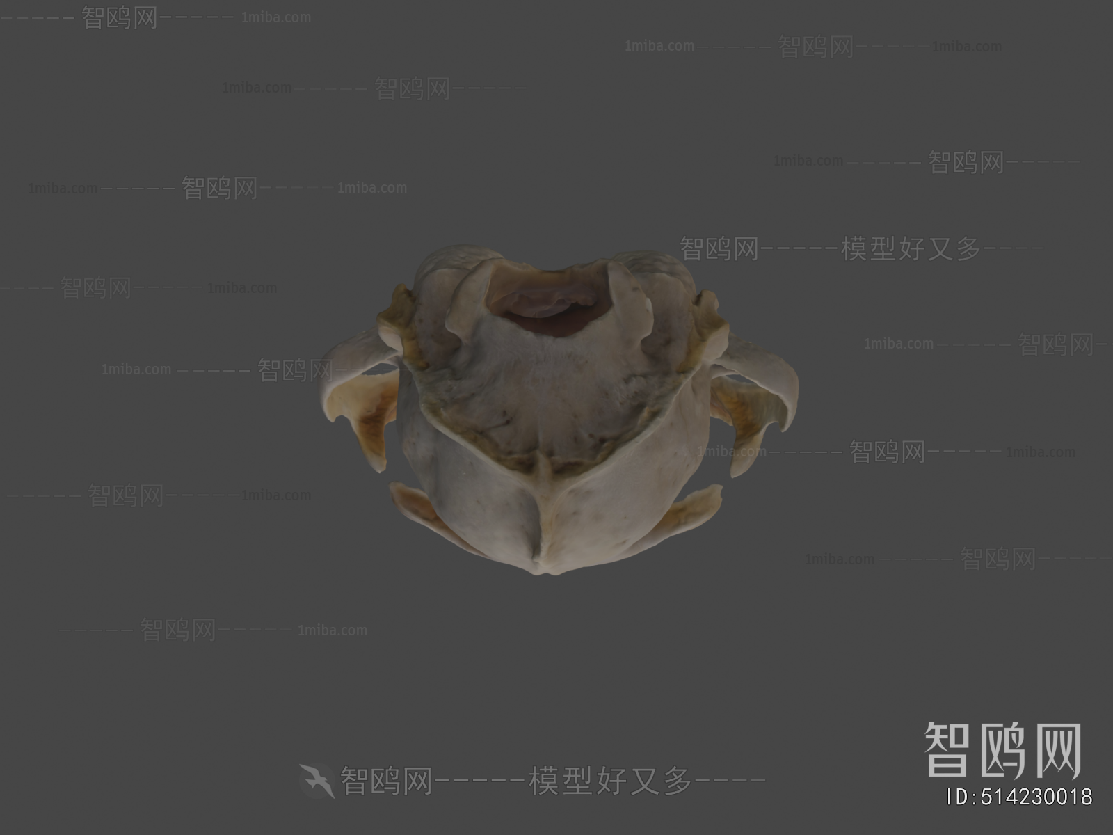 Modern Medical Equipment