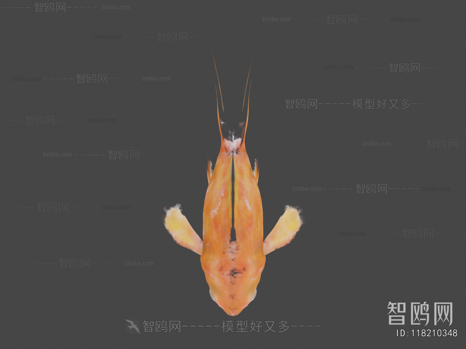 Modern Aquatic Animals