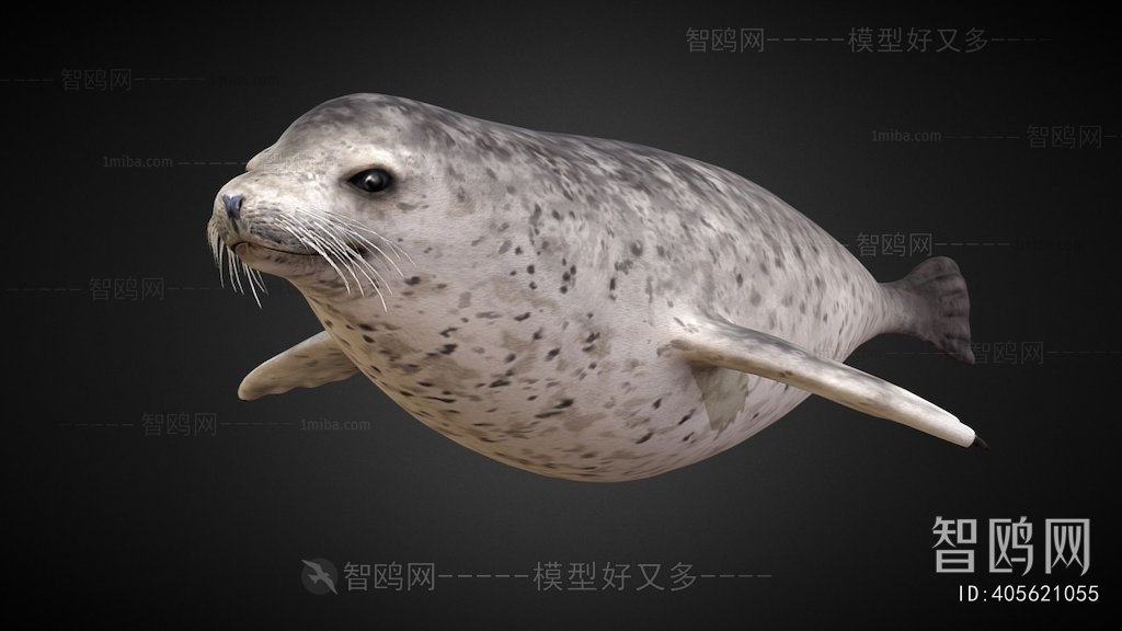 Modern Mammal