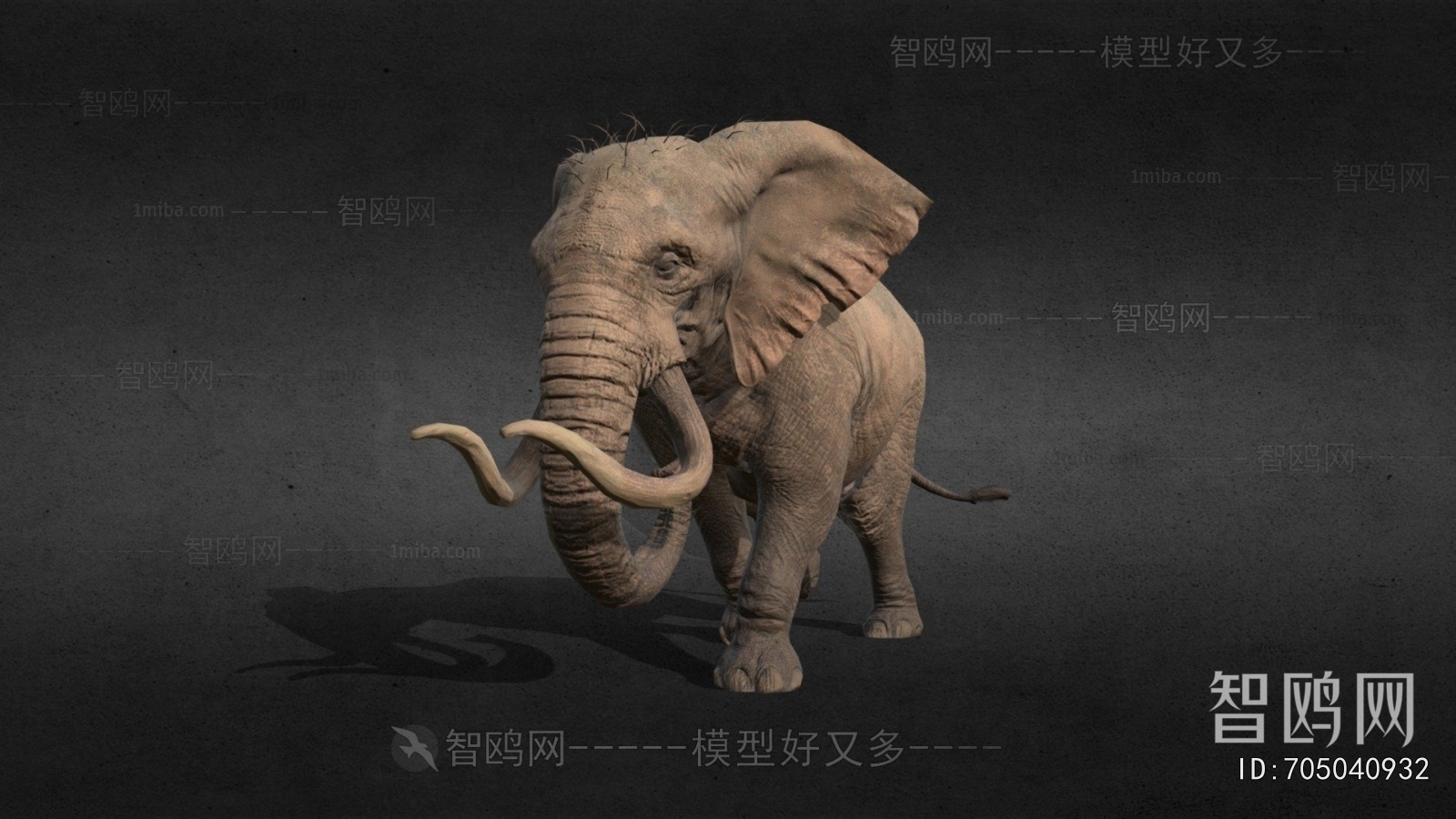 Modern Animal