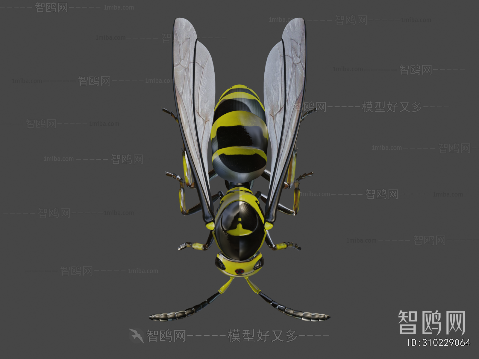 Modern Animal