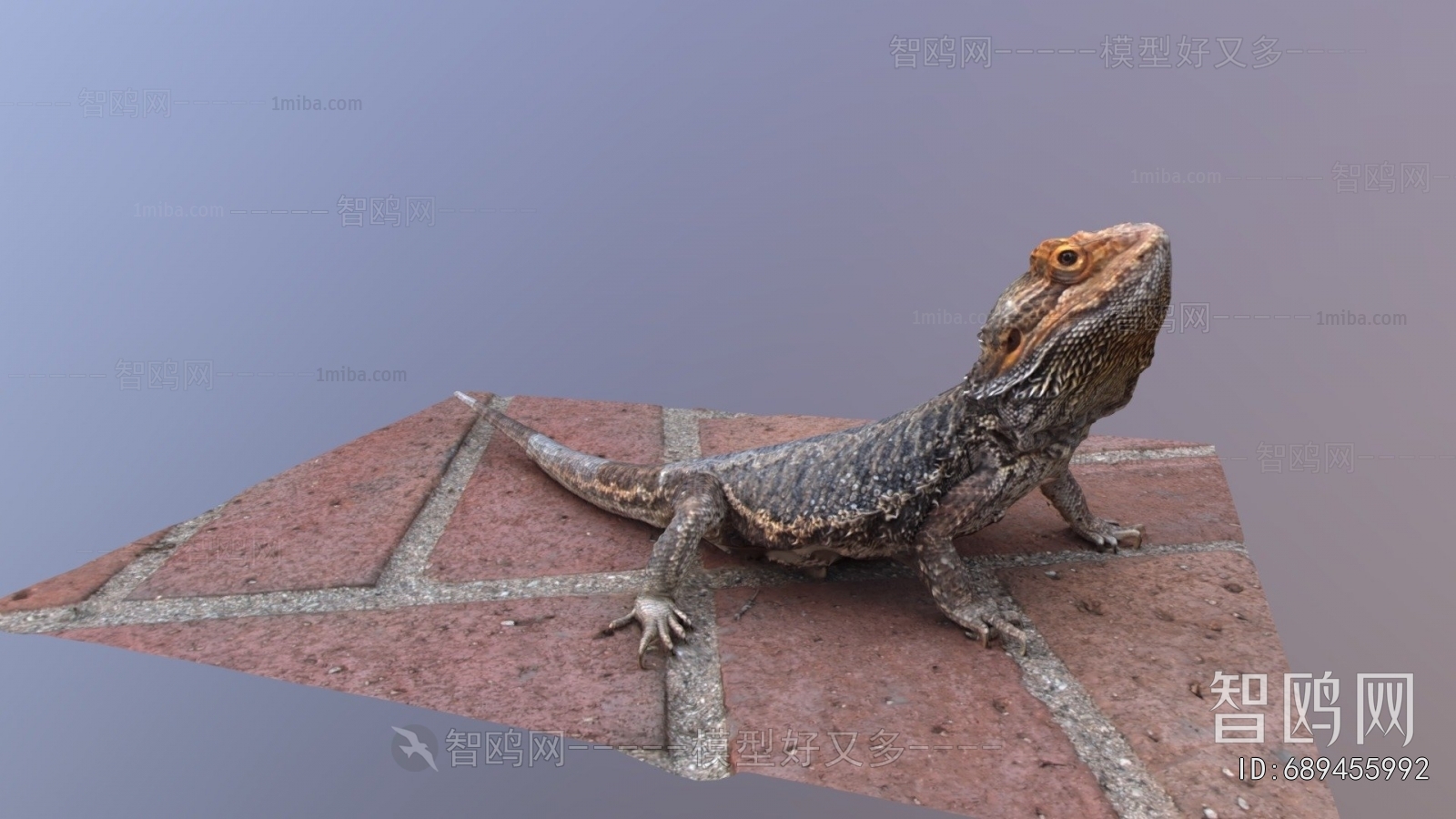 Modern Animal