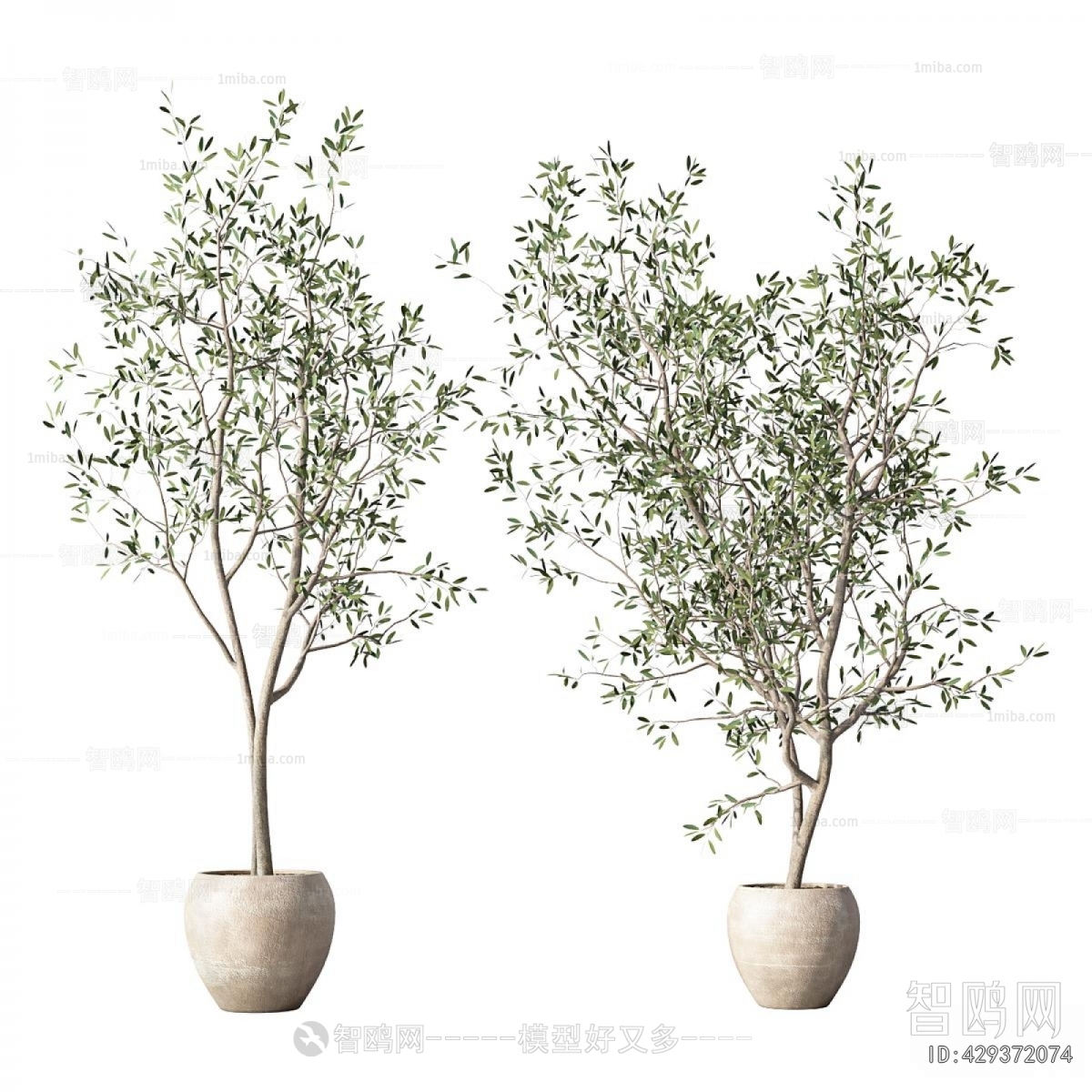Modern Ground Green Plant Potted Plants