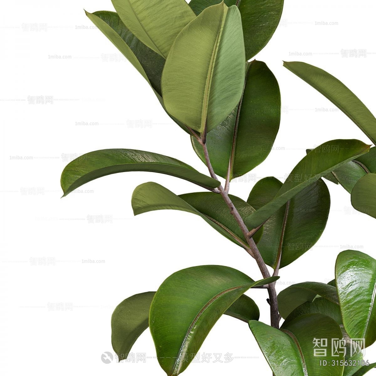 Modern Ground Green Plant Potted Plants