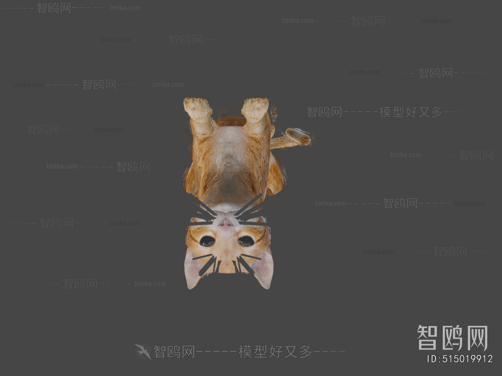 Modern Animal Cat